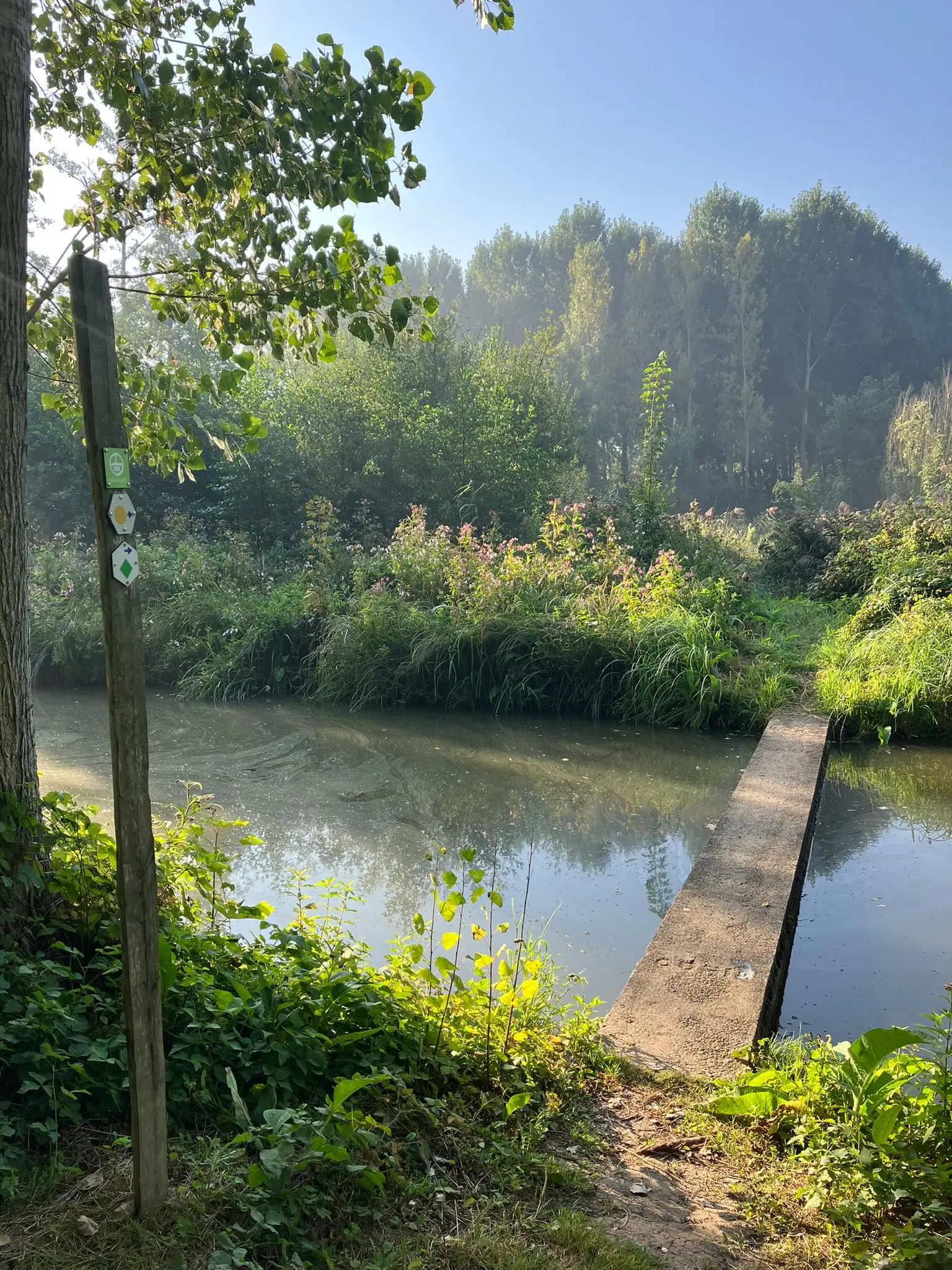 Wandeling afbeelding
