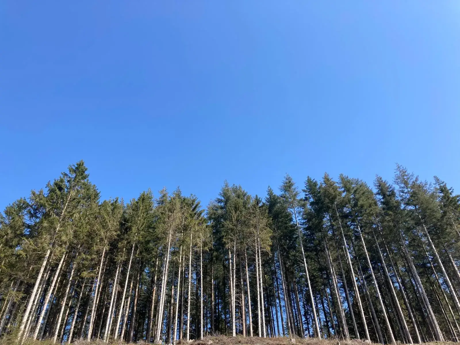 Wandeling afbeelding