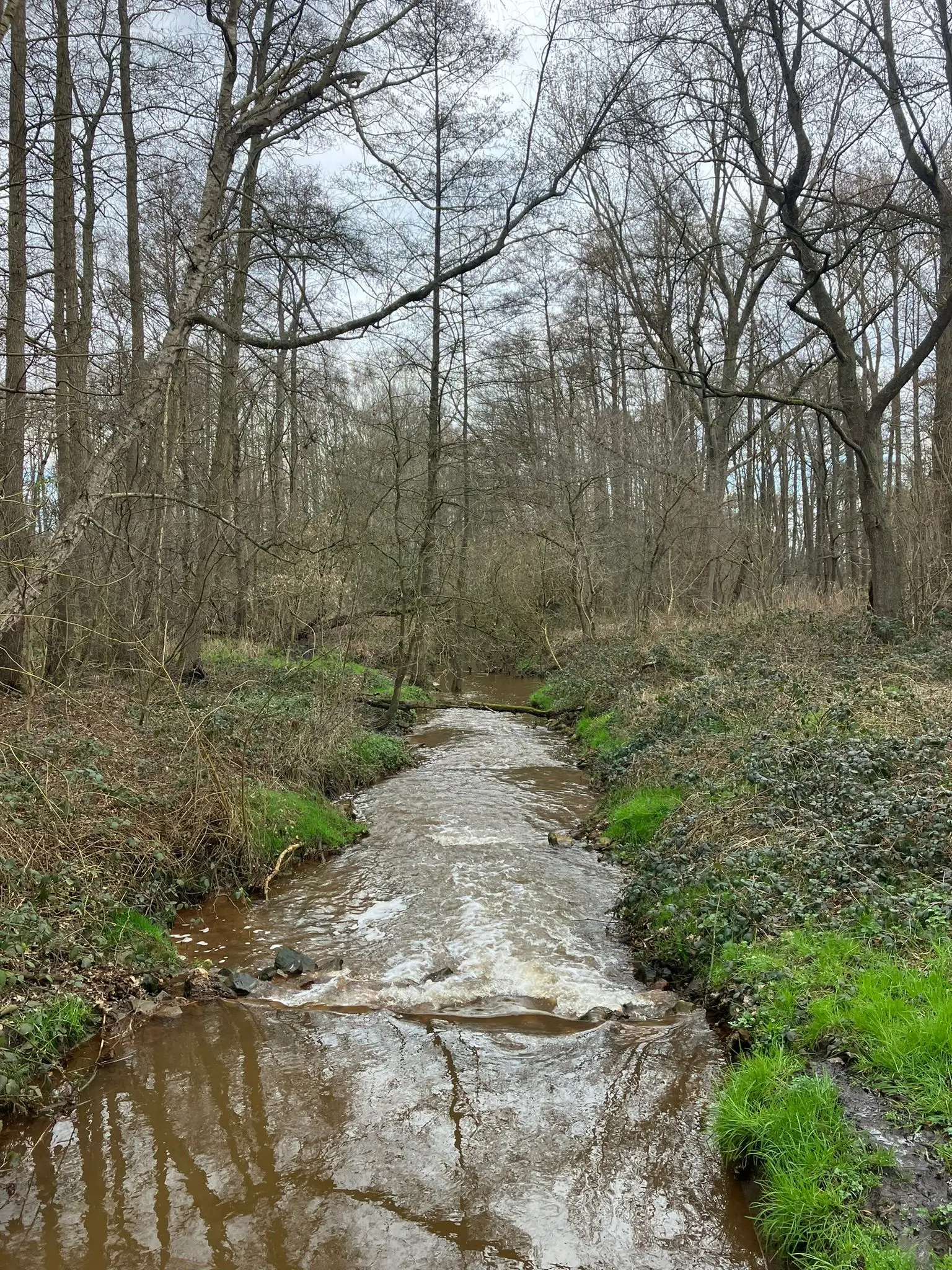 Wandeling afbeelding