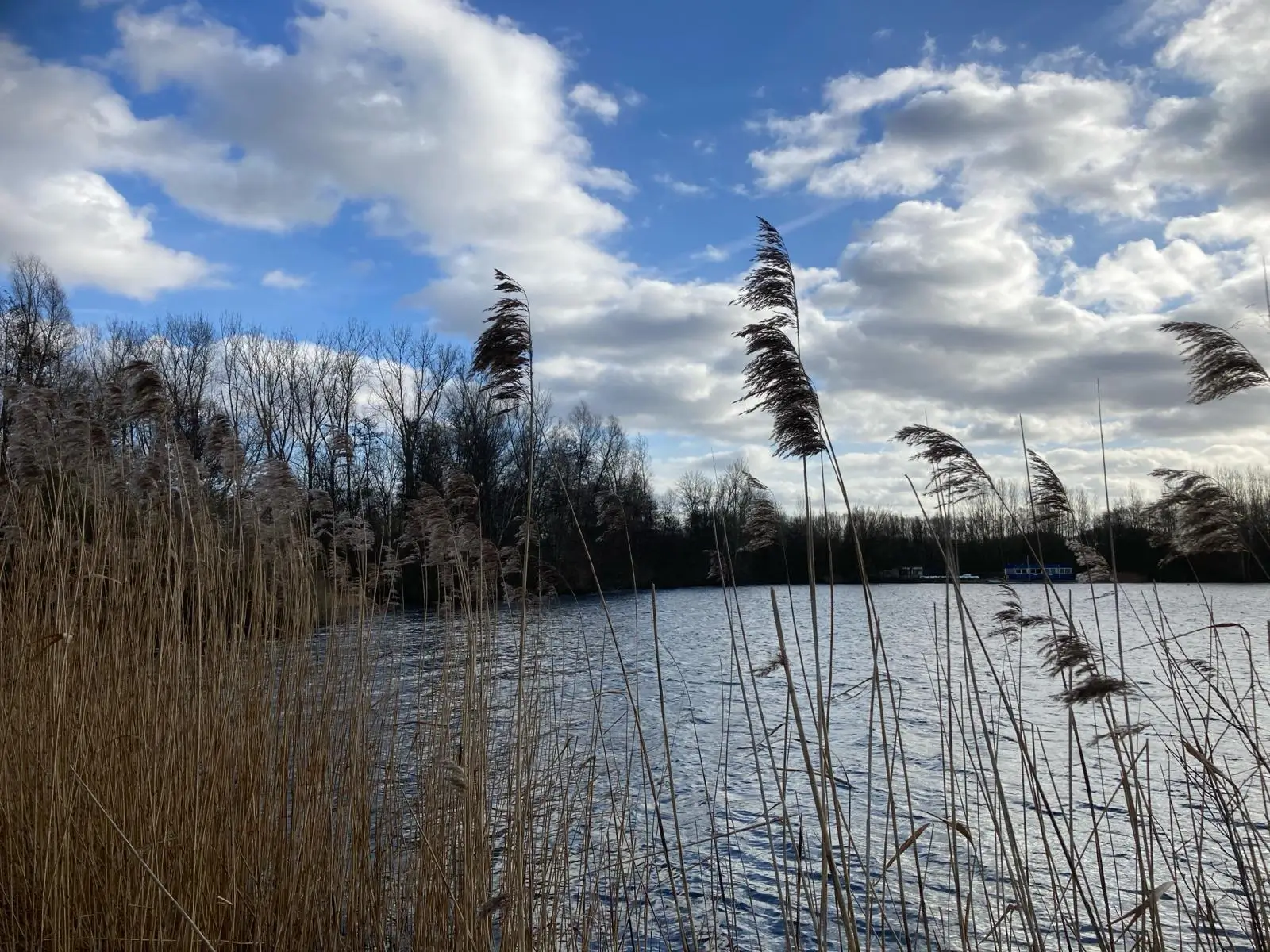 Wandeling afbeelding