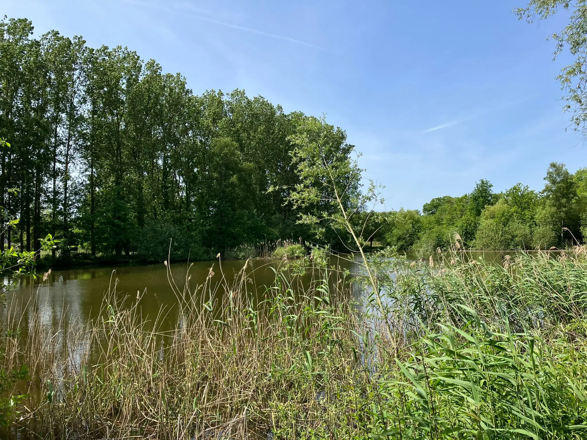 Wandeling afbeelding