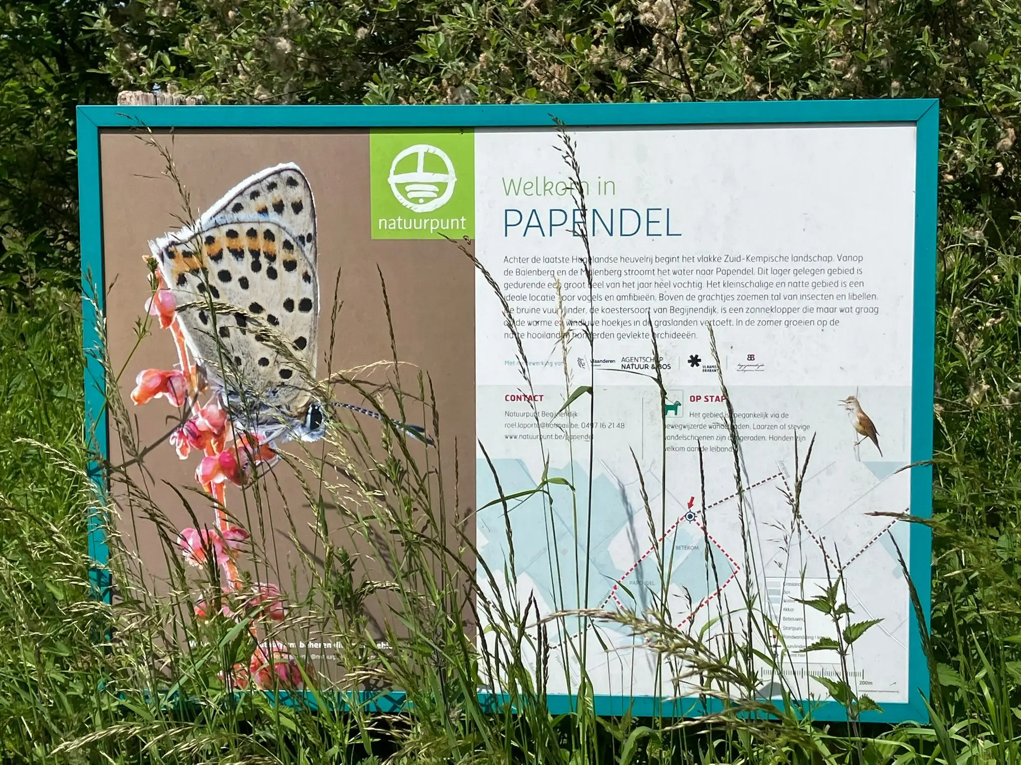 Wandeling afbeelding