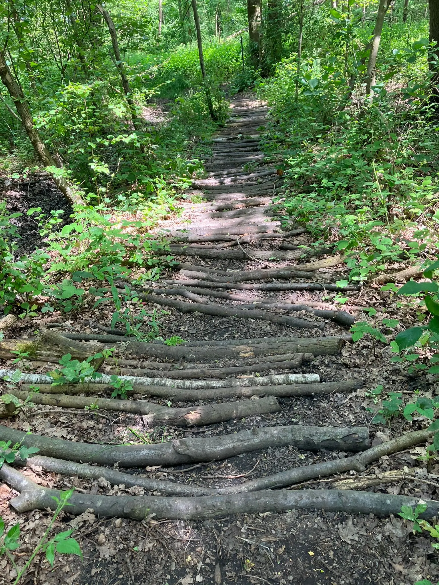 Wandeling afbeelding
