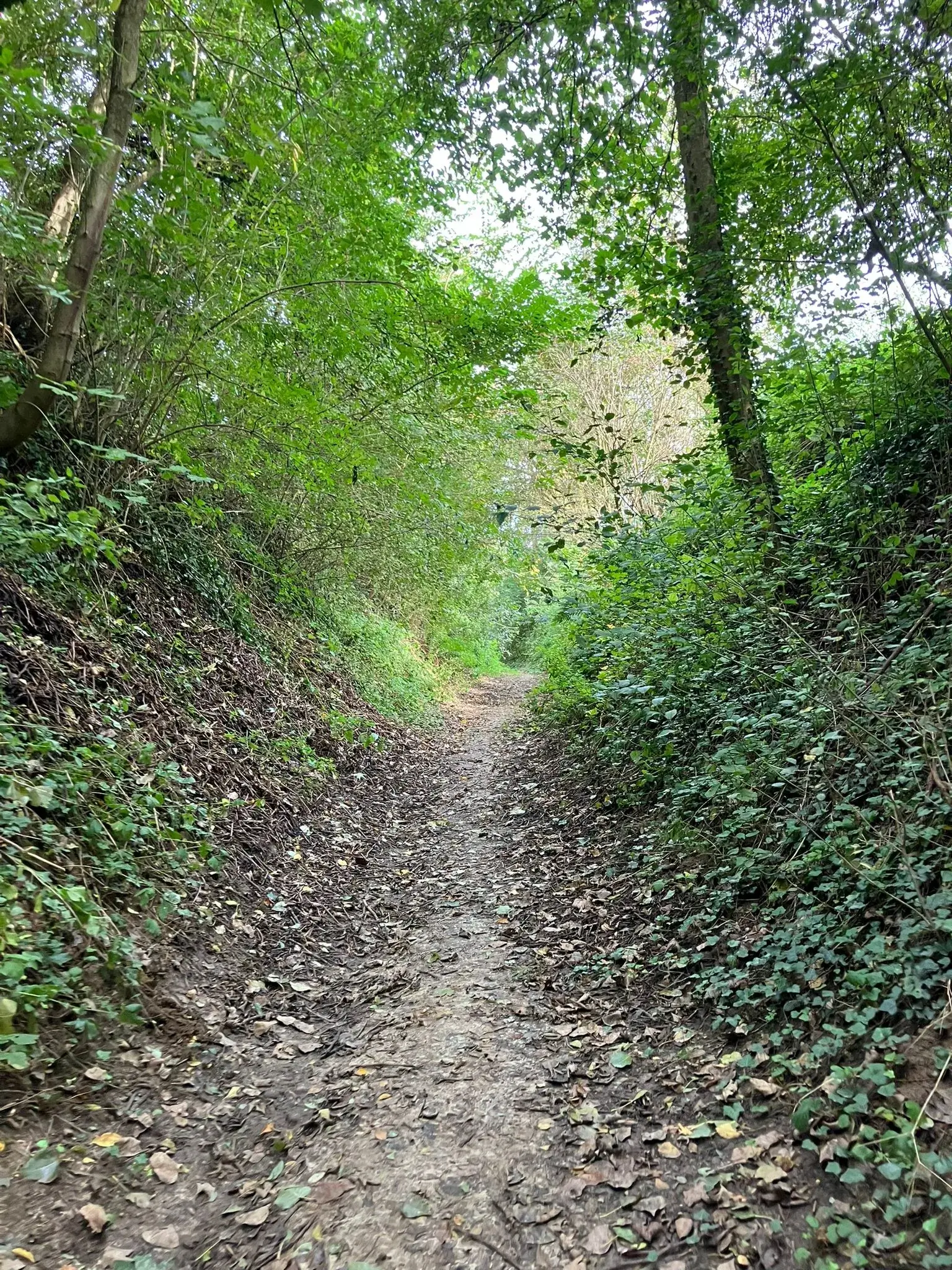 Wandeling afbeelding