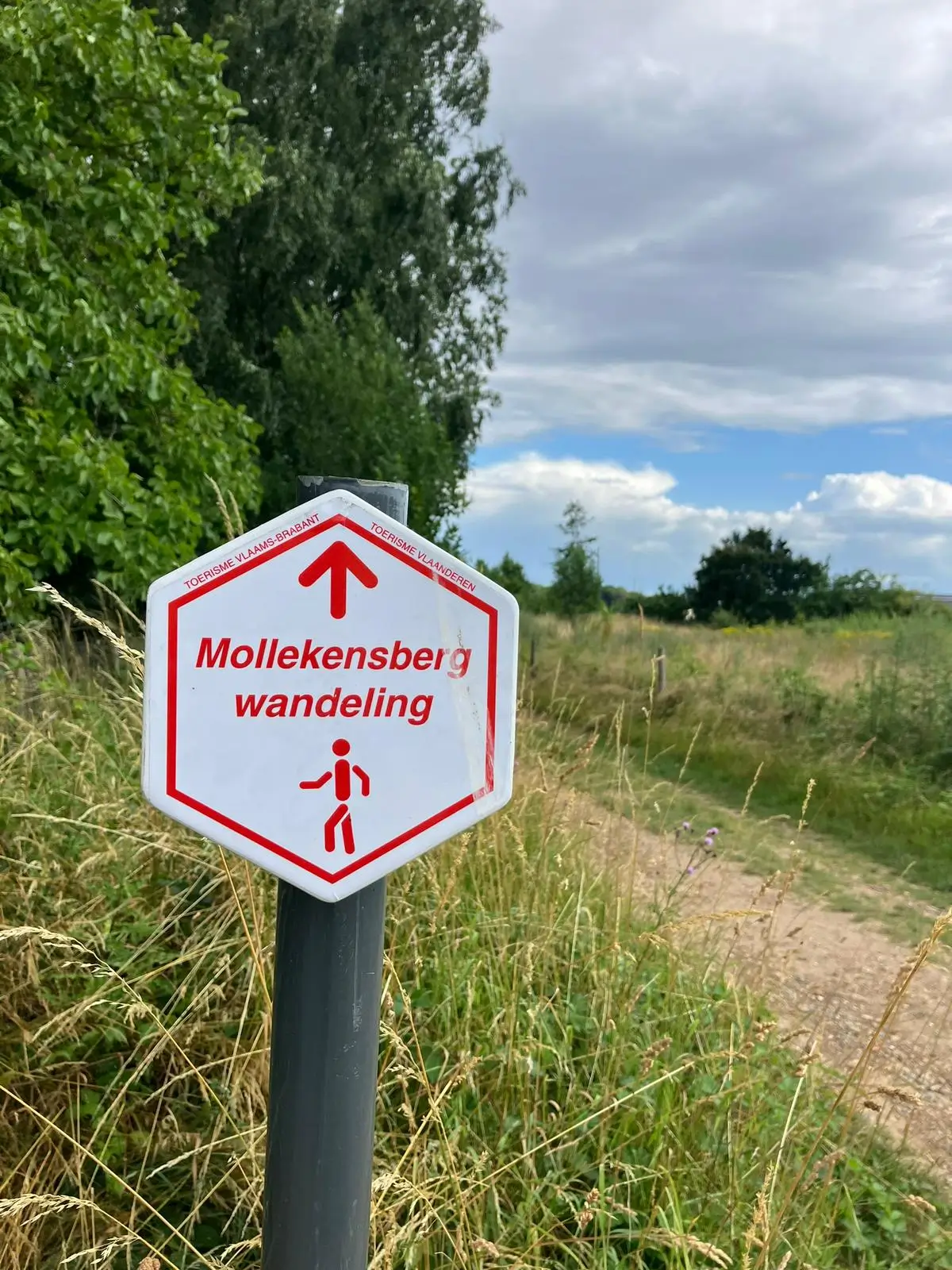 Wandeling afbeelding