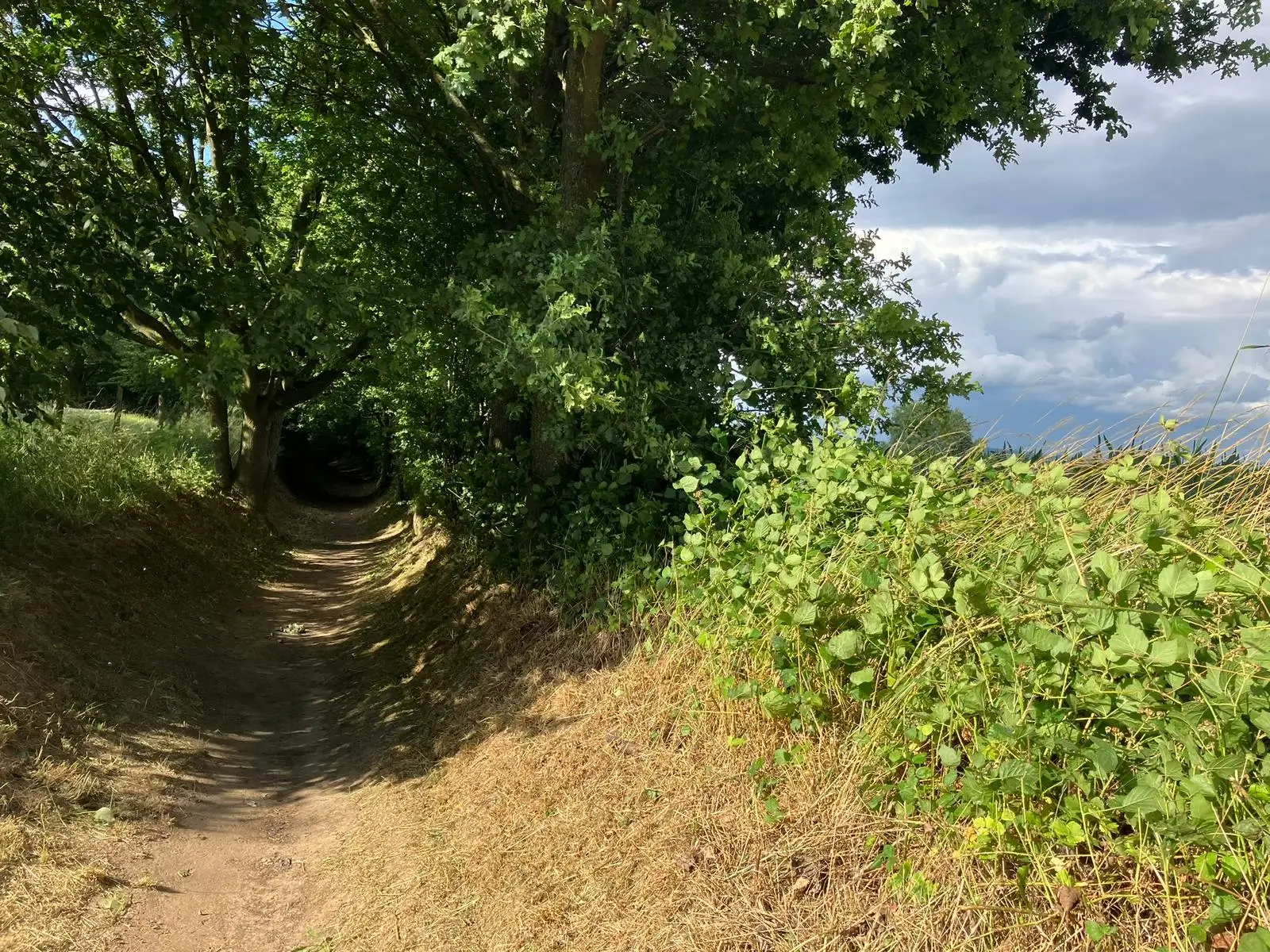 Wandeling afbeelding