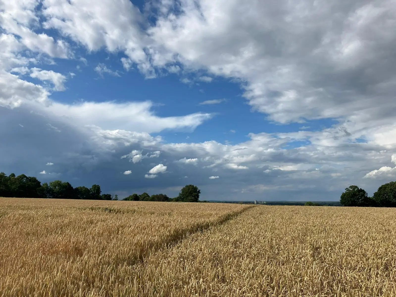 Wandeling afbeelding