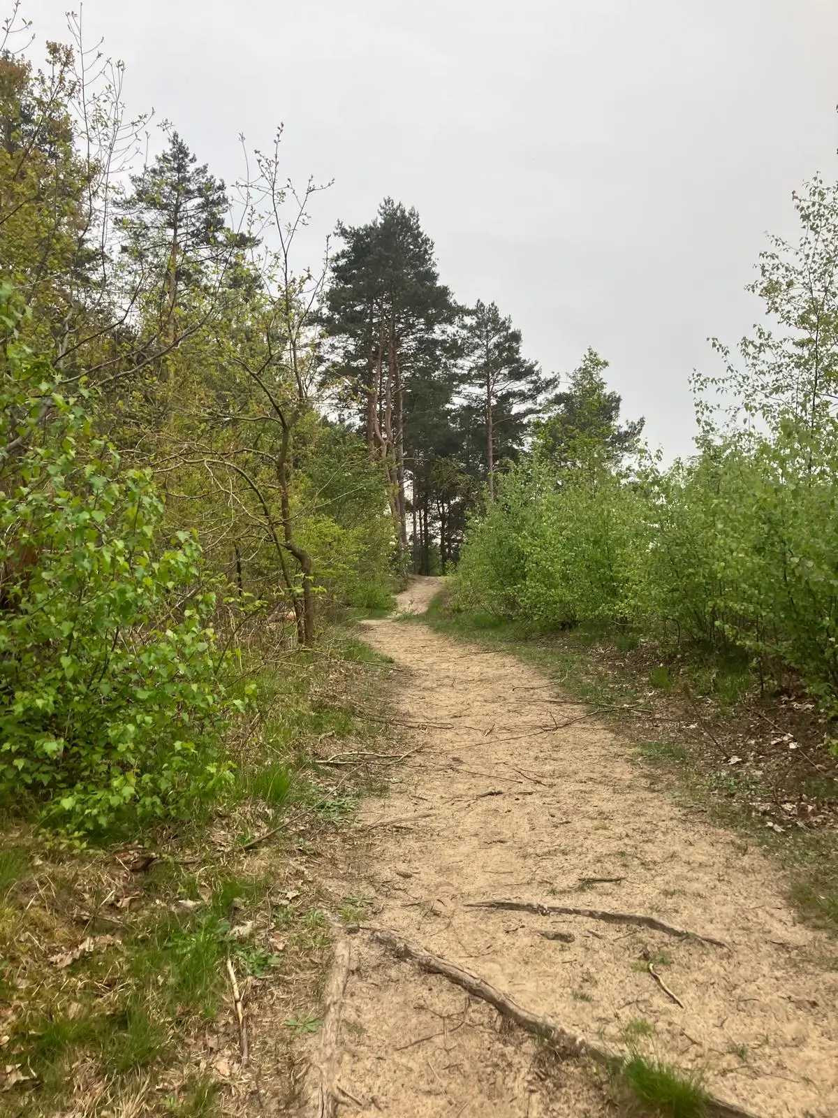 Wandeling afbeelding