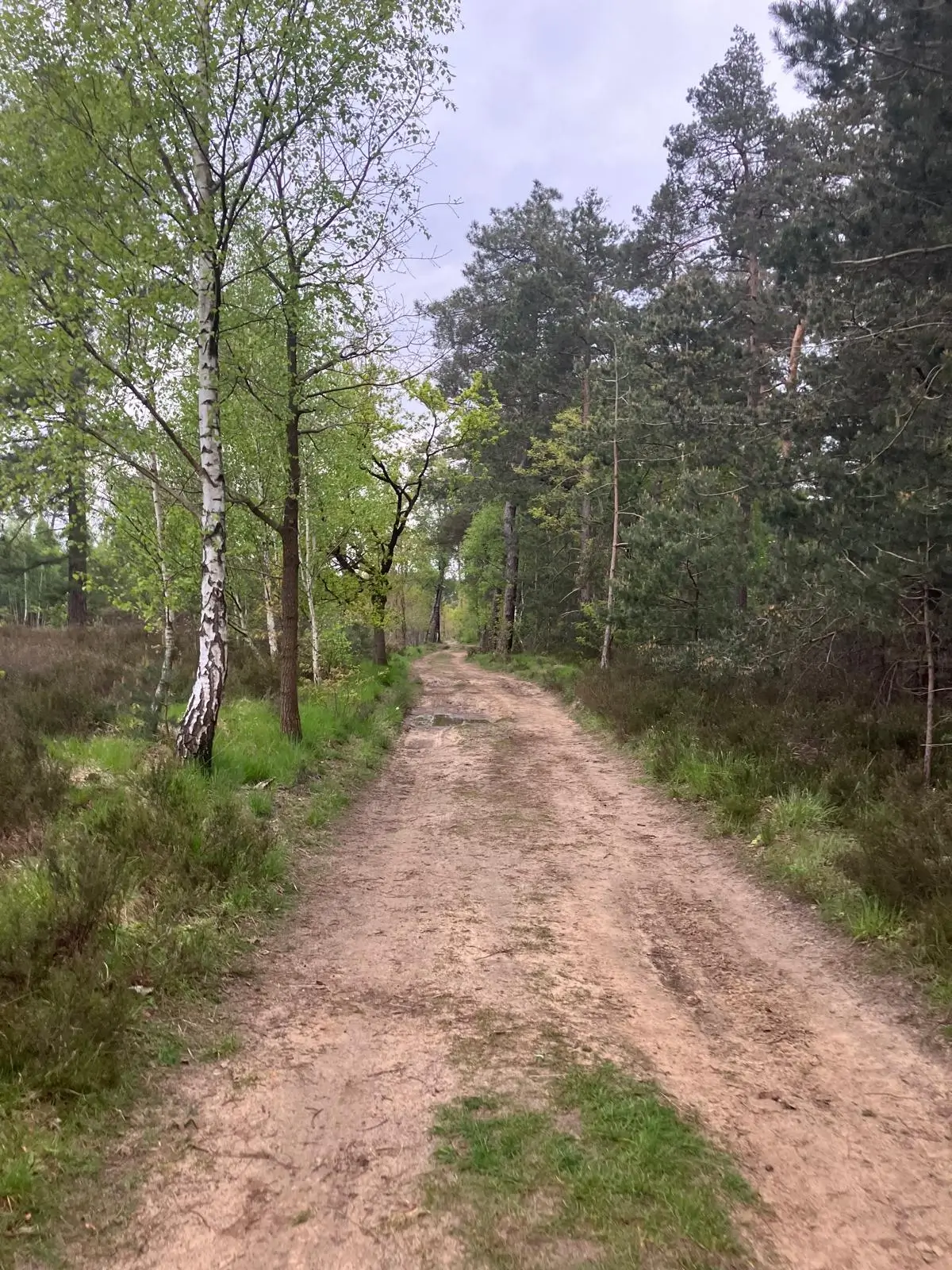 Wandeling afbeelding