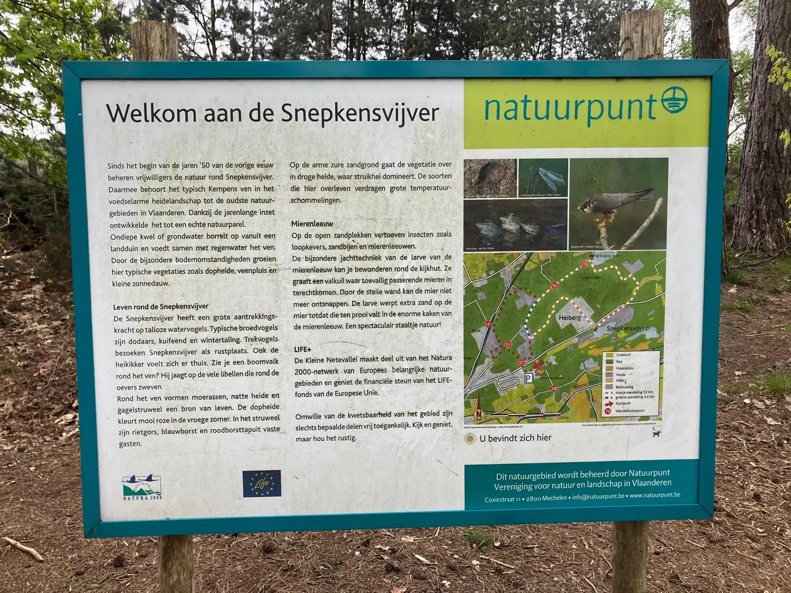 Wandeling afbeelding