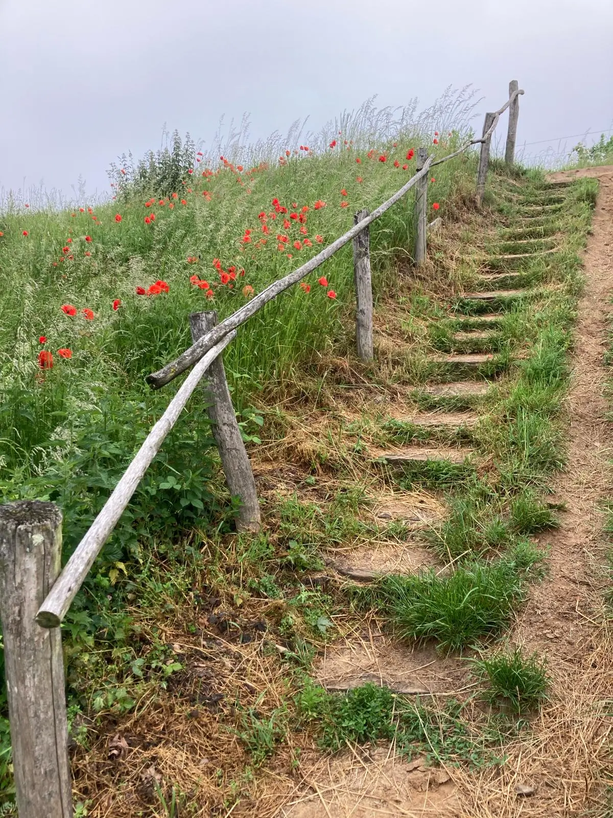 Wandeling afbeelding