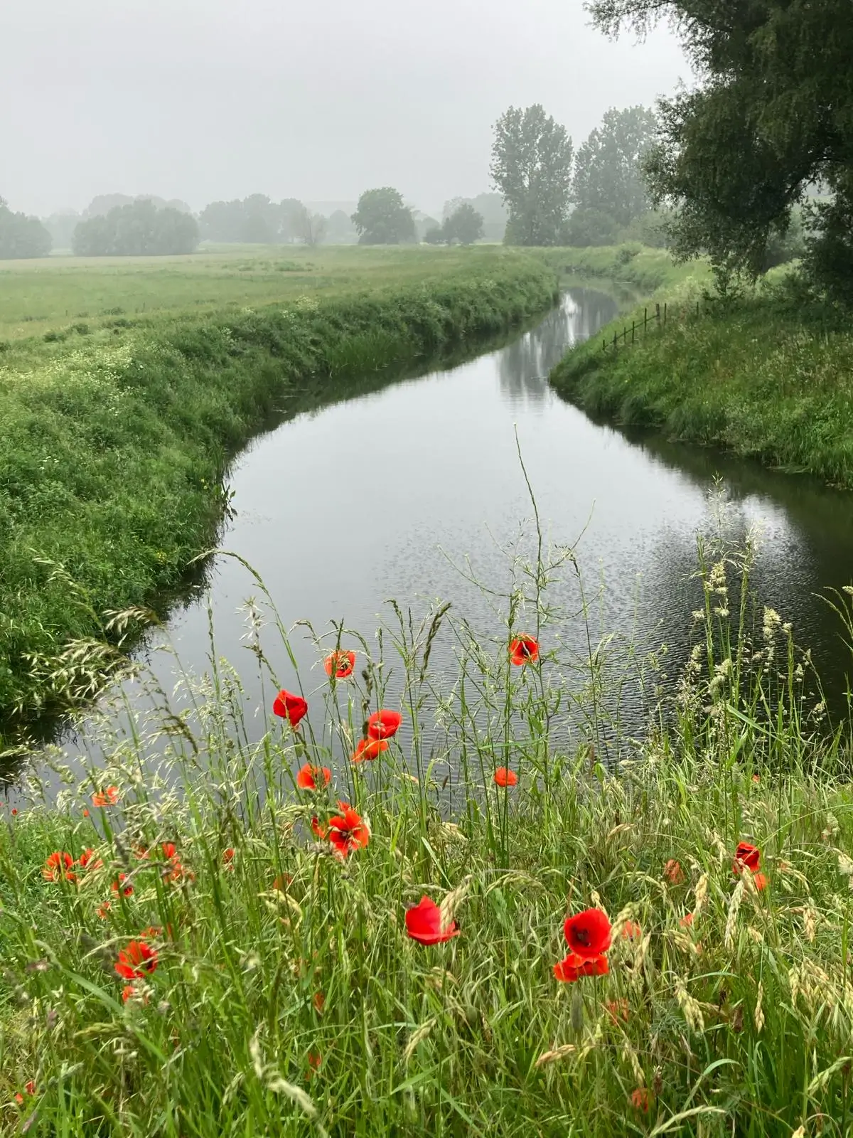 Wandeling afbeelding