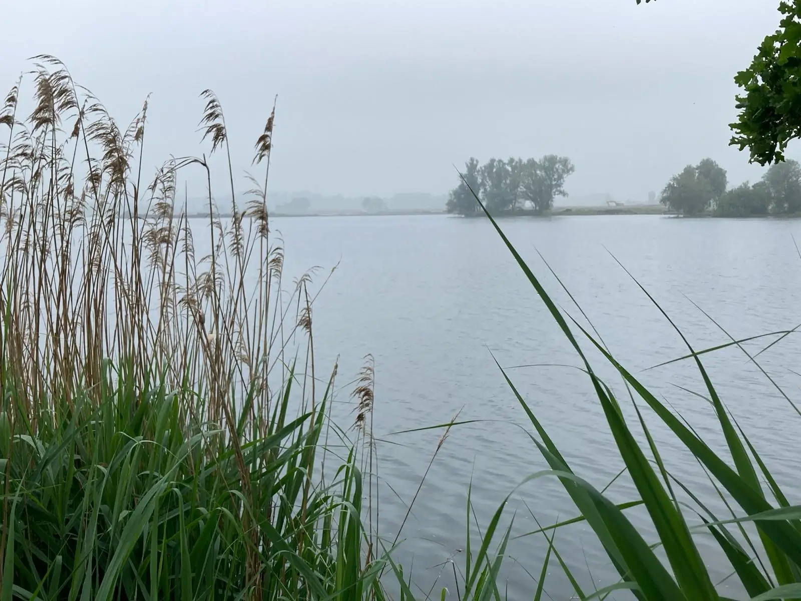 Wandeling afbeelding