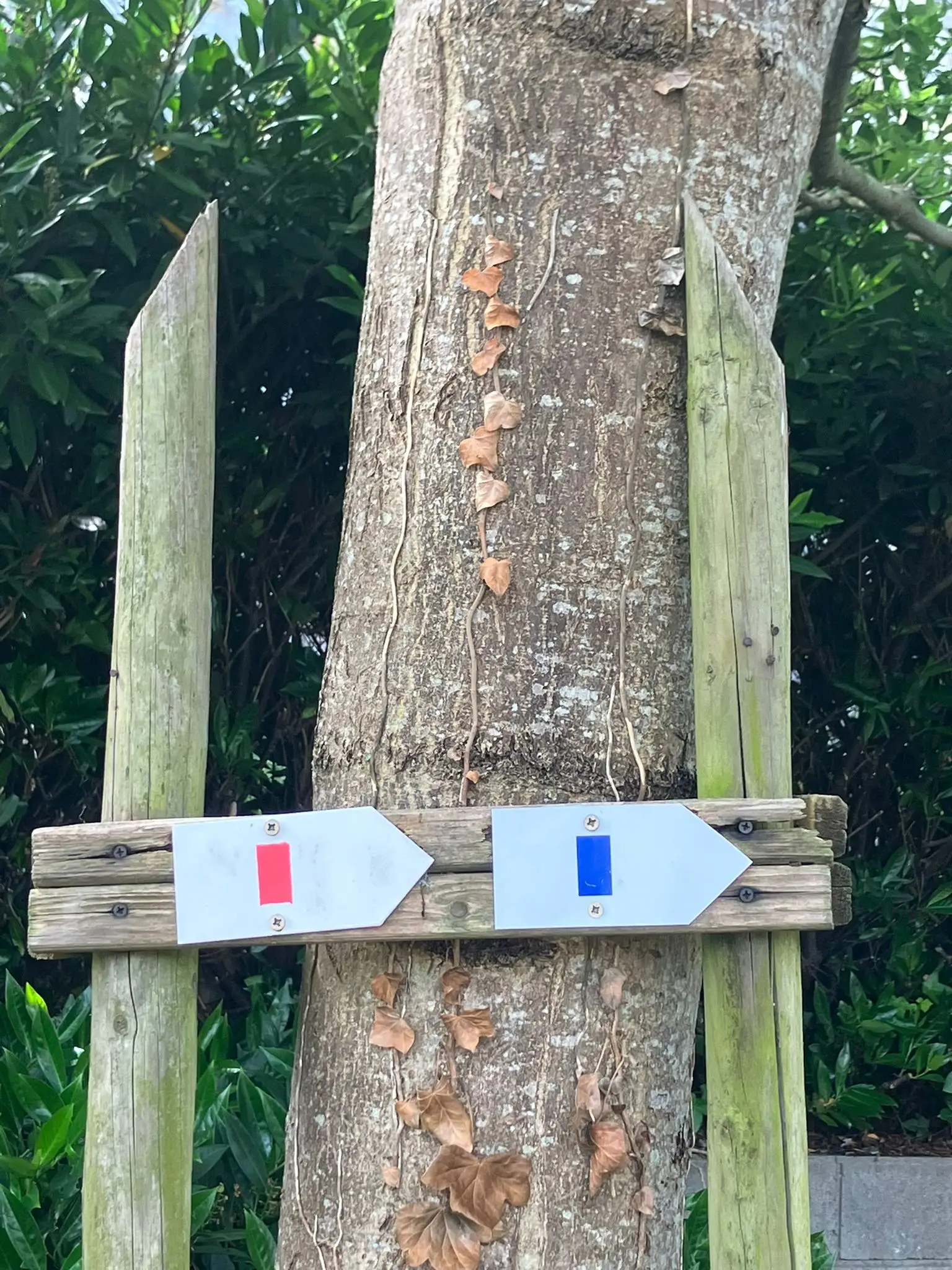 Wandeling afbeelding
