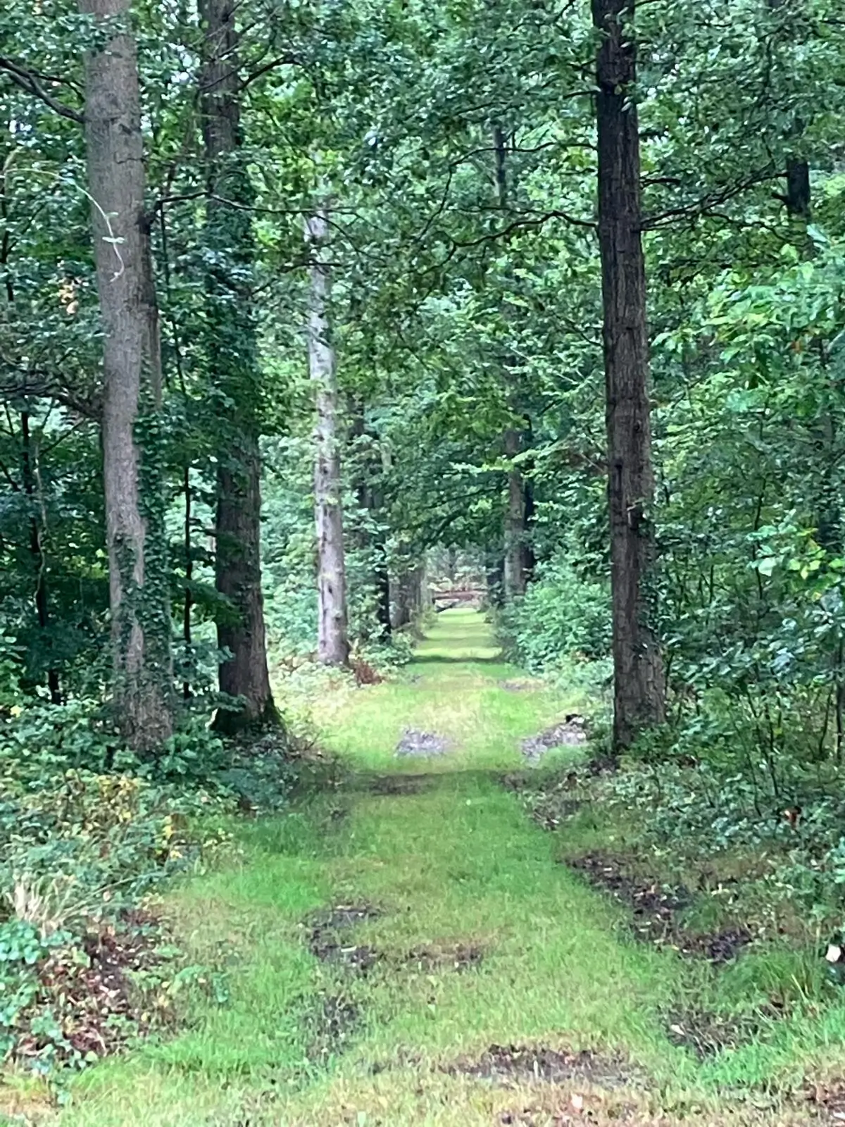 Wandeling afbeelding