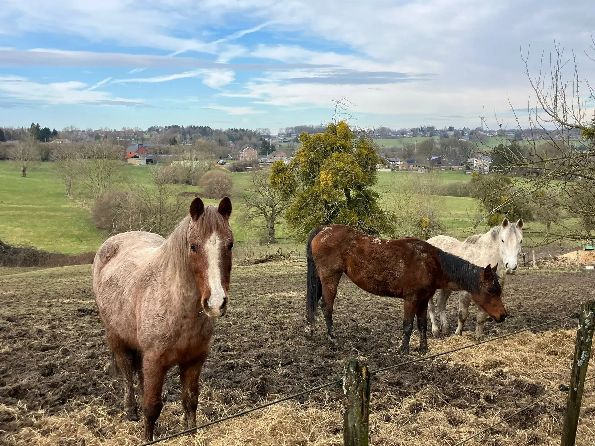 Wandeling afbeelding