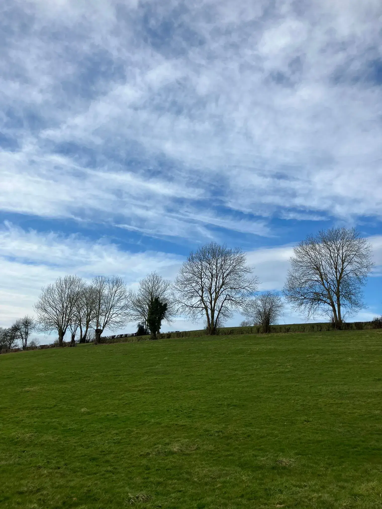 Wandeling afbeelding