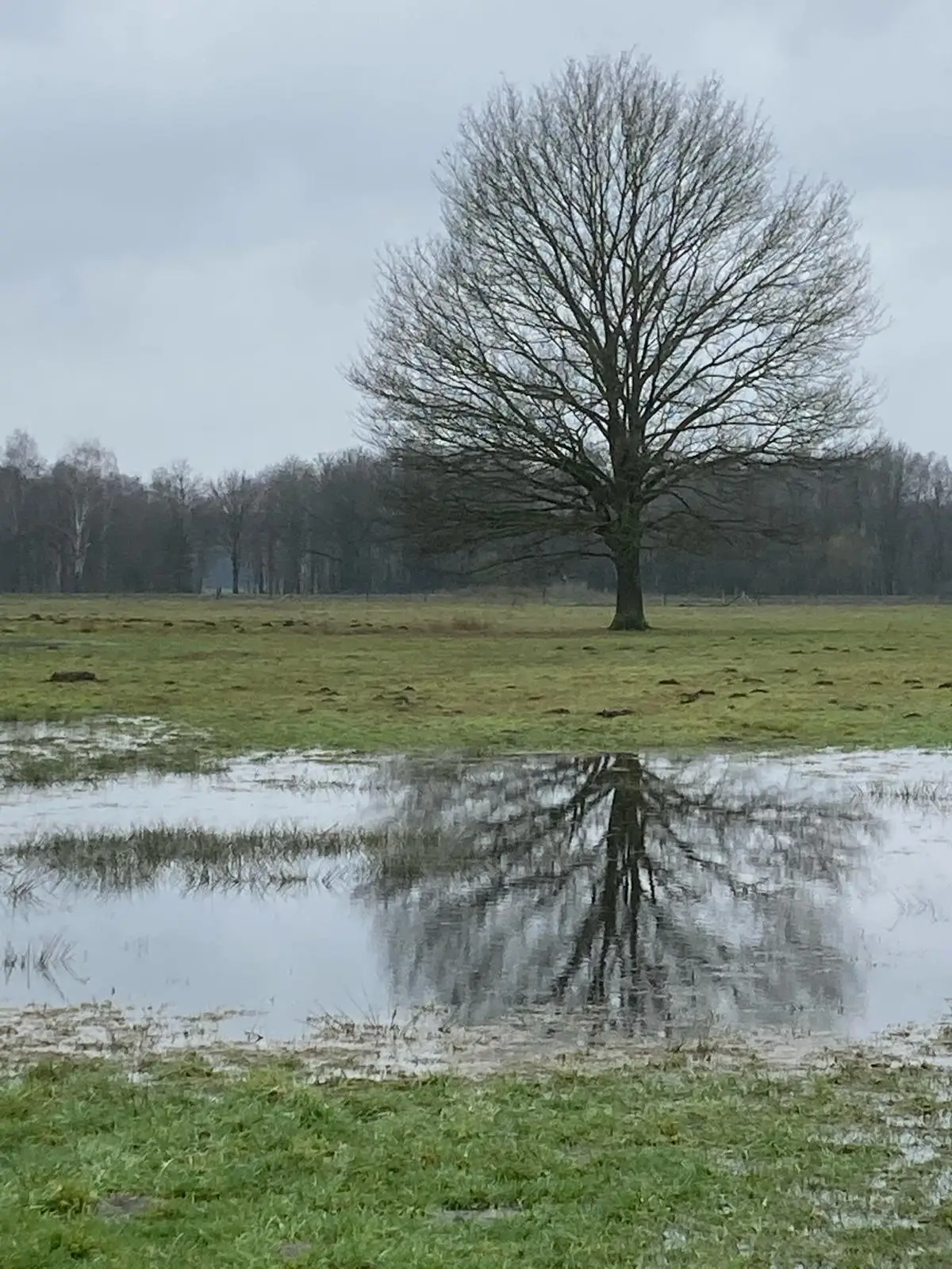Wandeling afbeelding