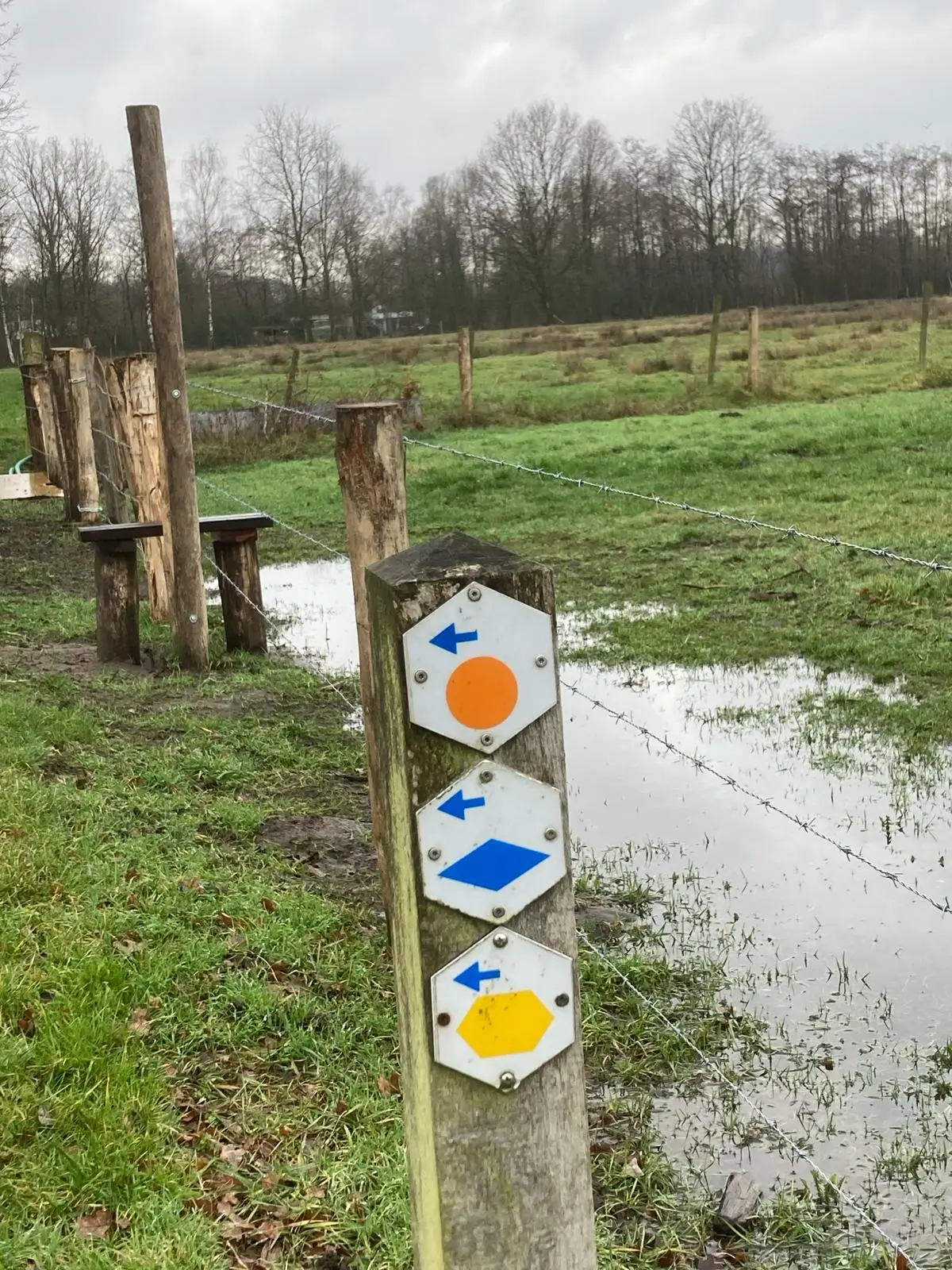 Wandeling afbeelding