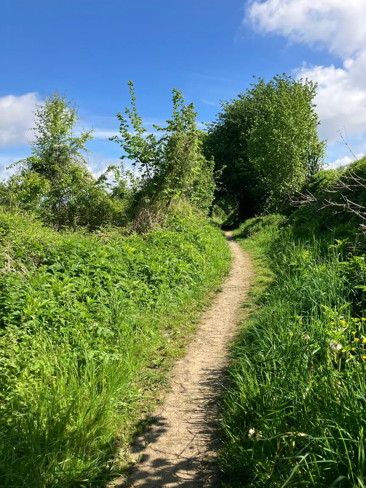 Wandeling afbeelding