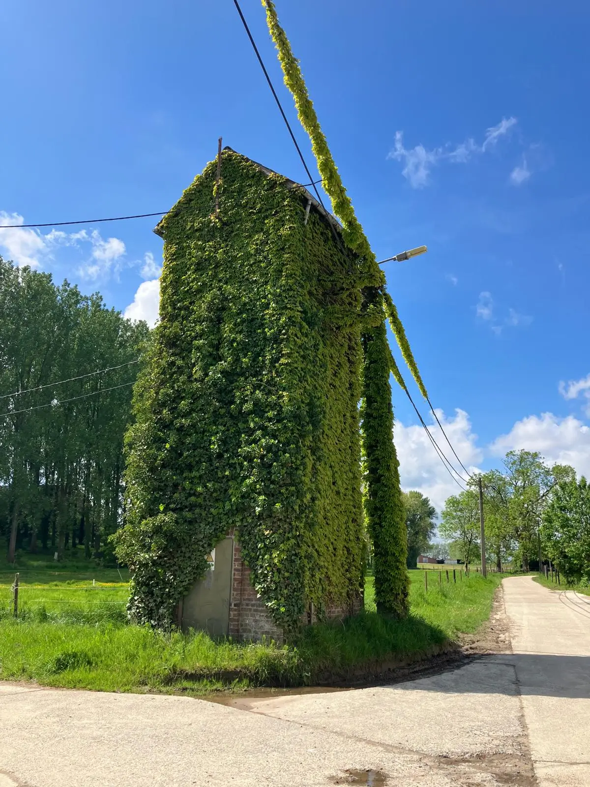 Wandeling afbeelding