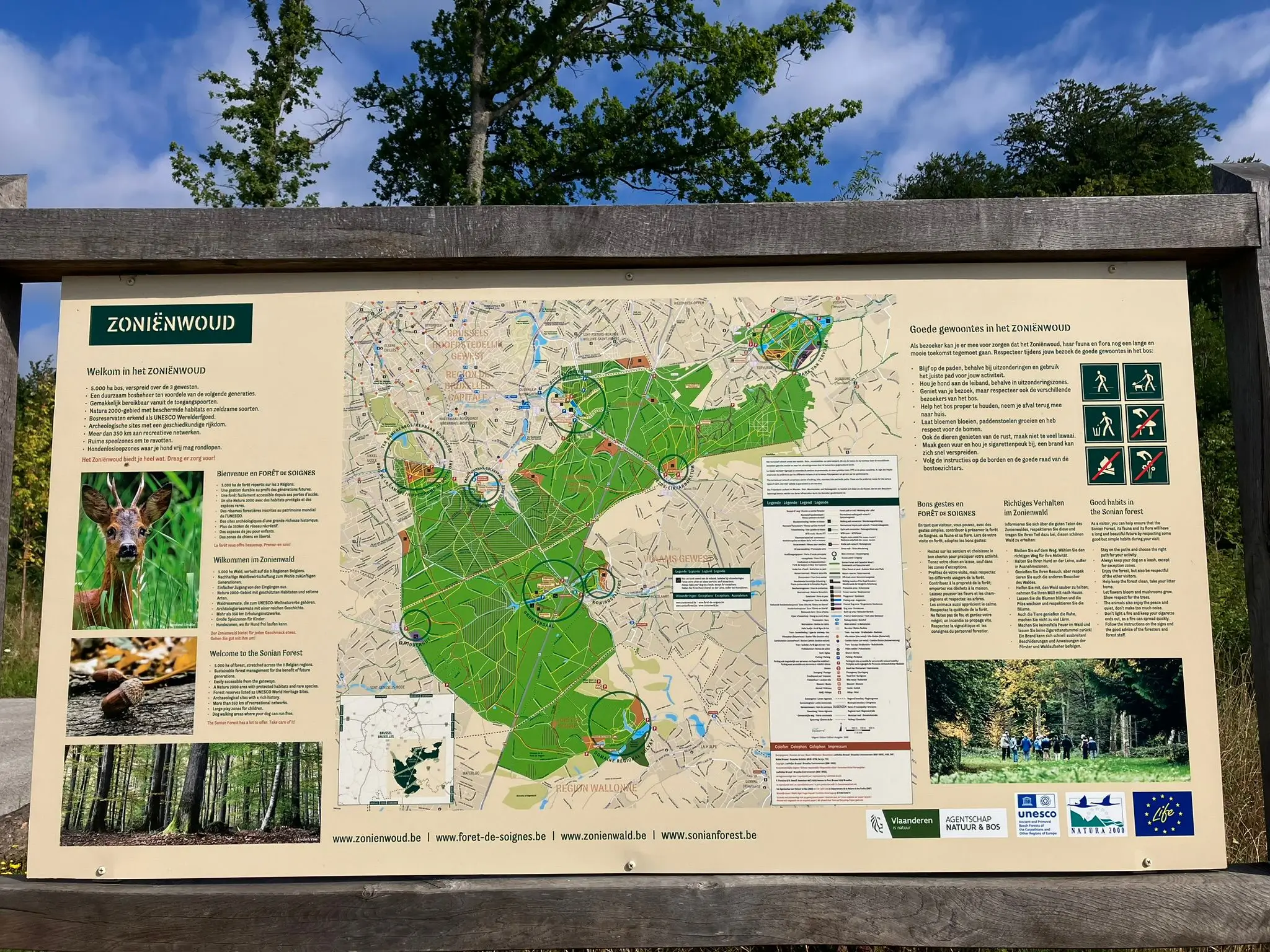 Wandeling afbeelding