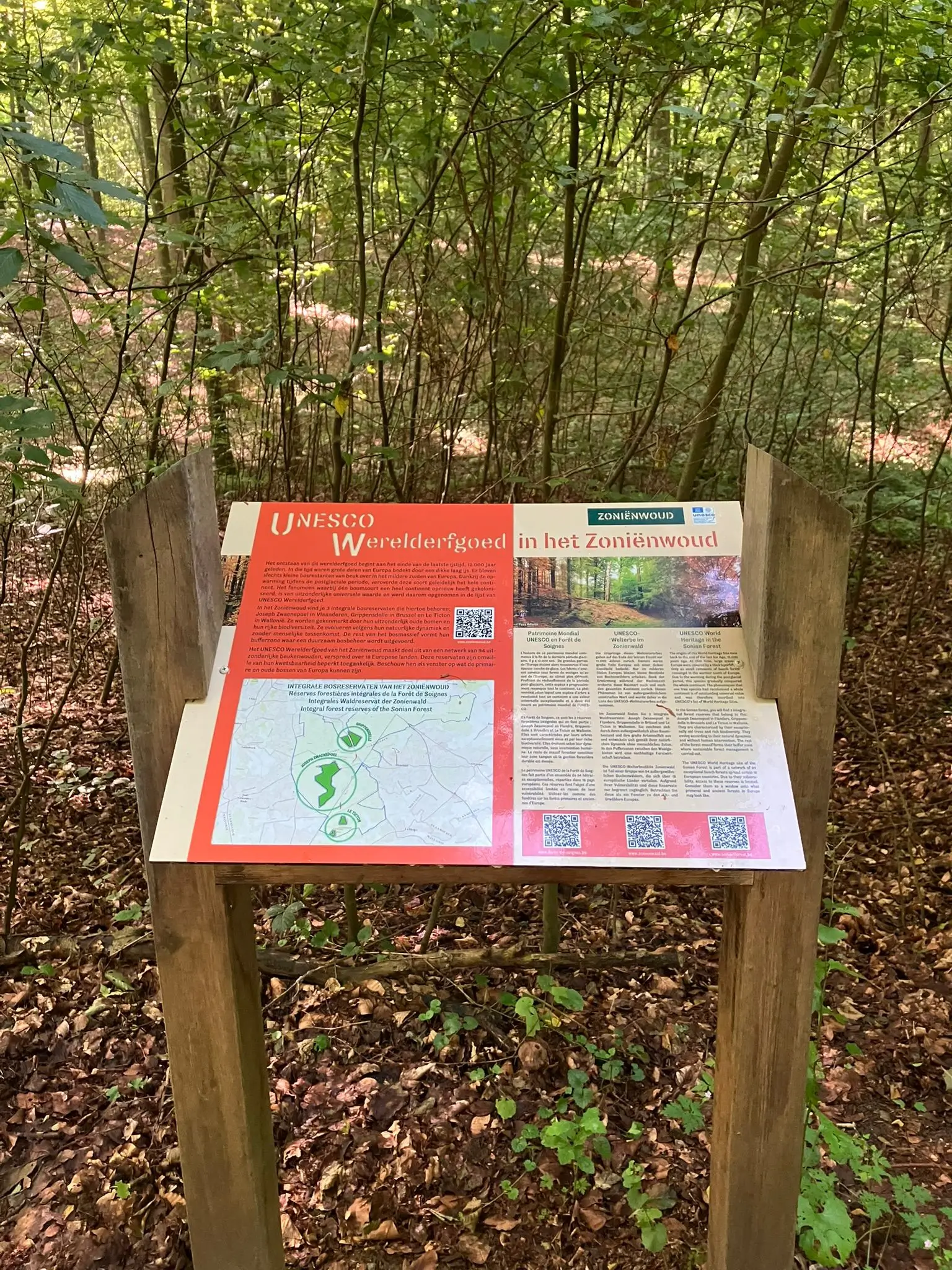 Wandeling afbeelding