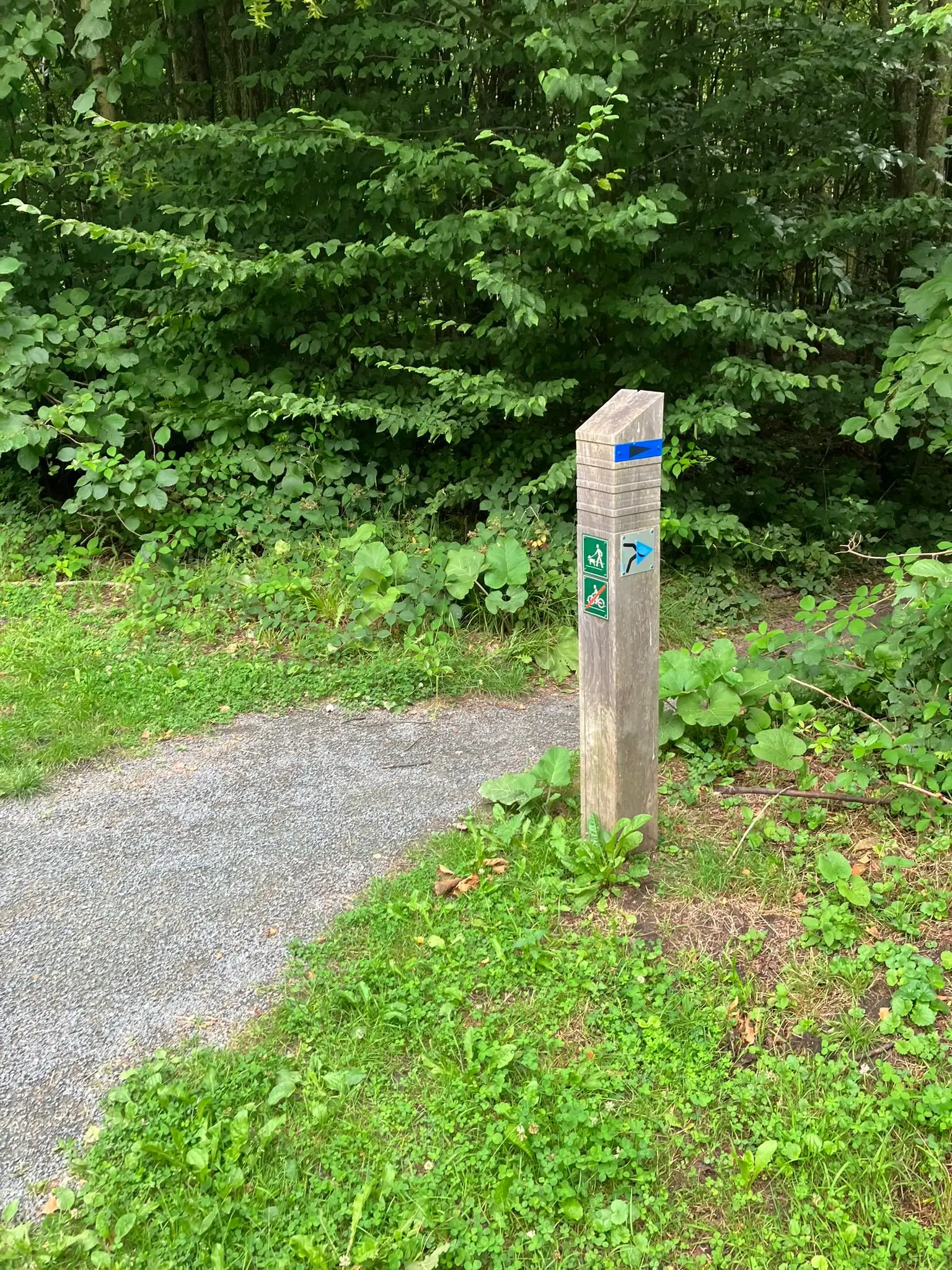 Wandeling afbeelding