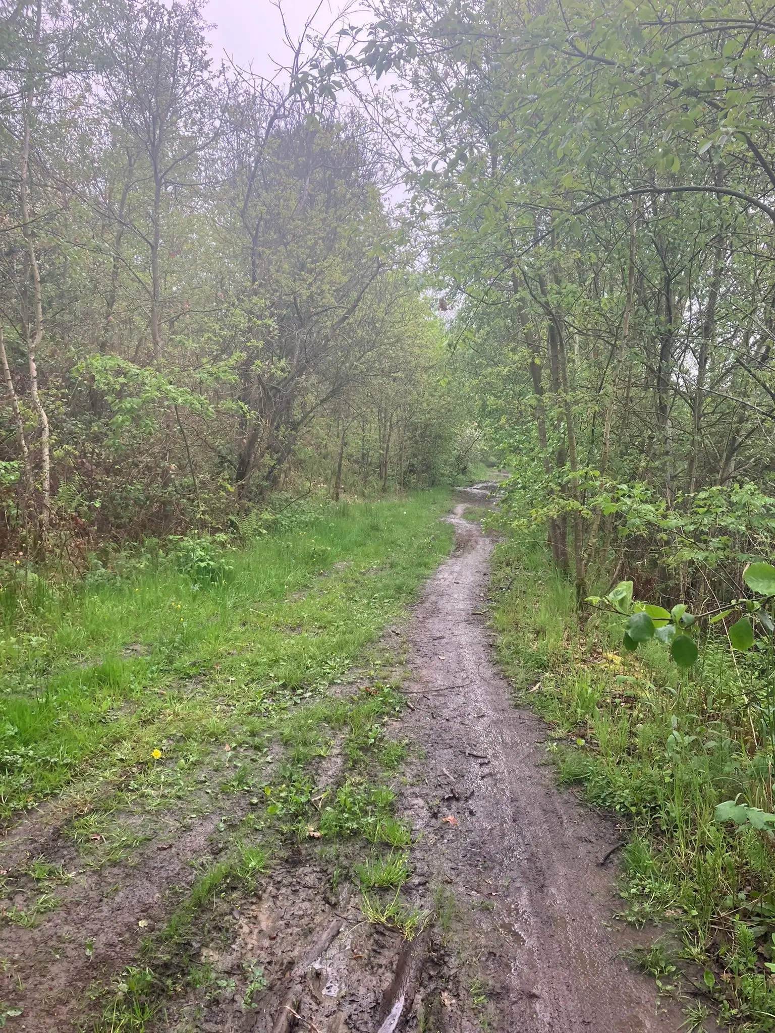 Wandeling afbeelding