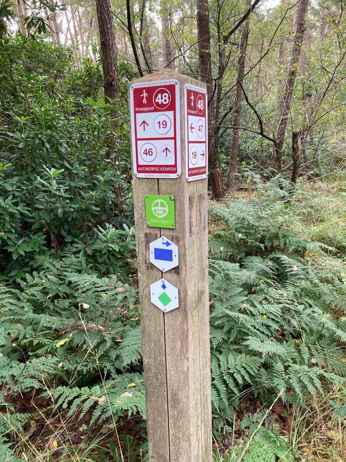 Wandeling afbeelding