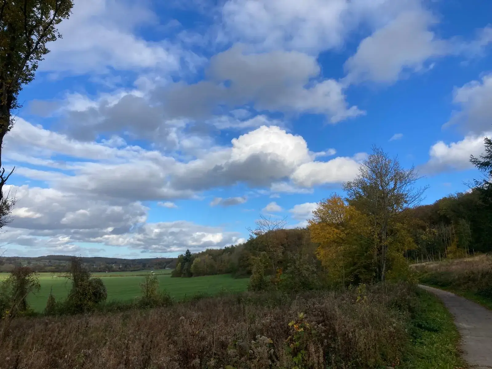 Wandeling afbeelding