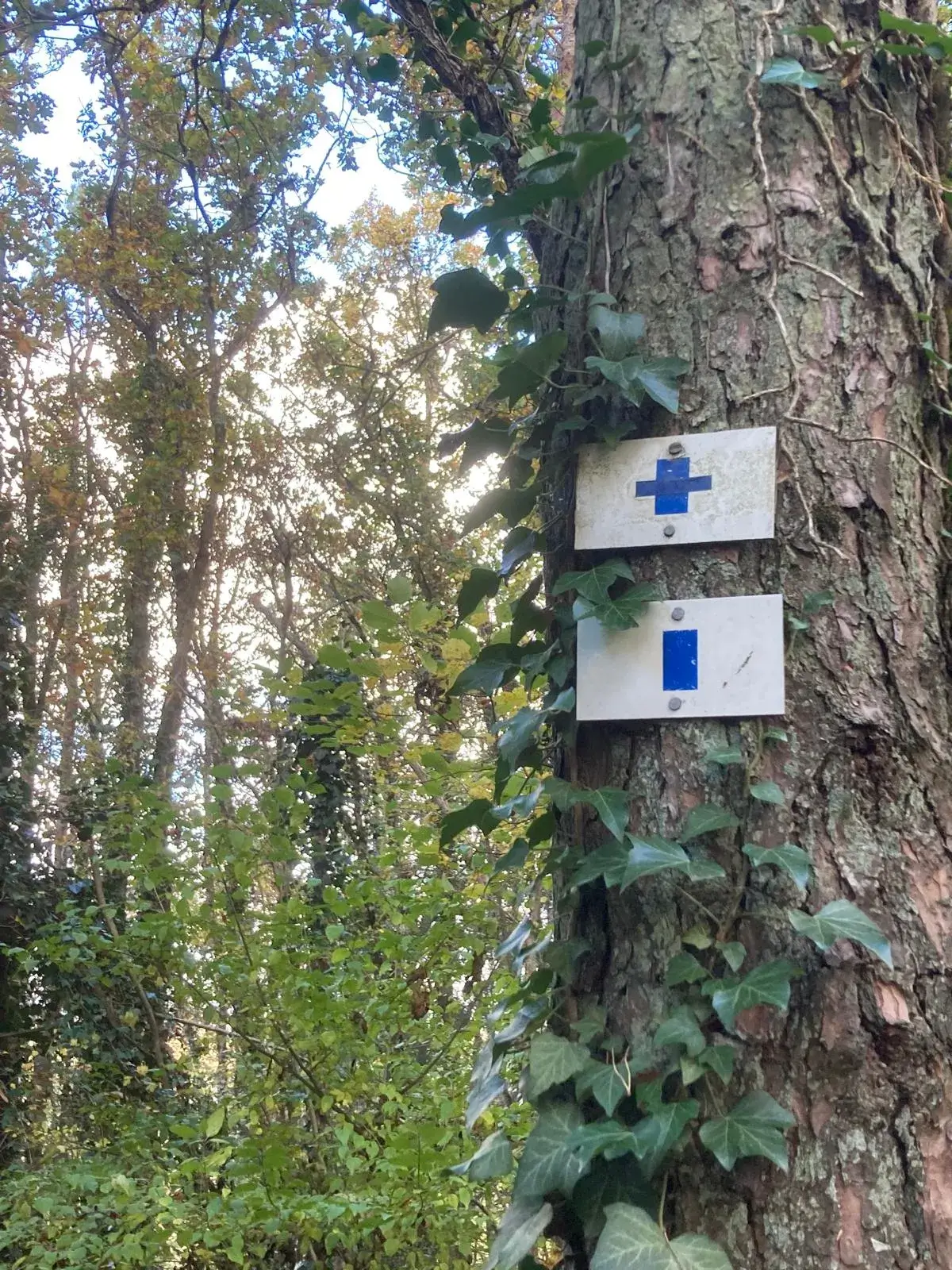 Wandeling afbeelding