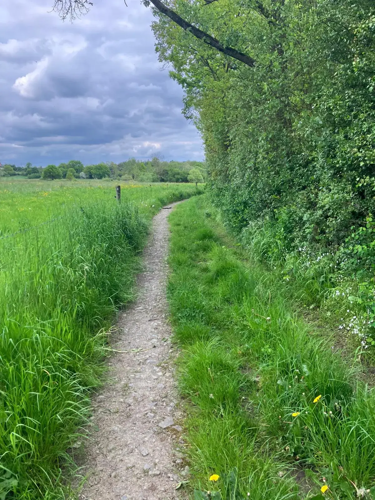 Wandeling afbeelding