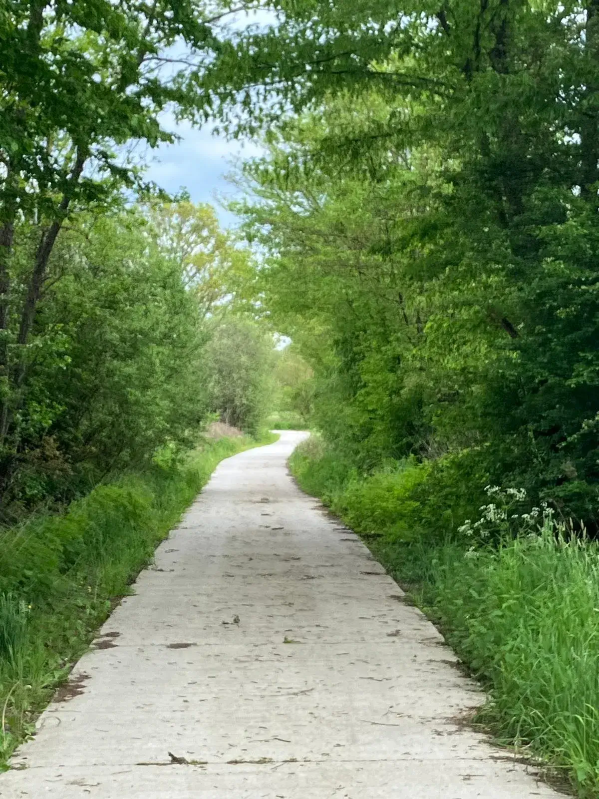 Wandeling afbeelding