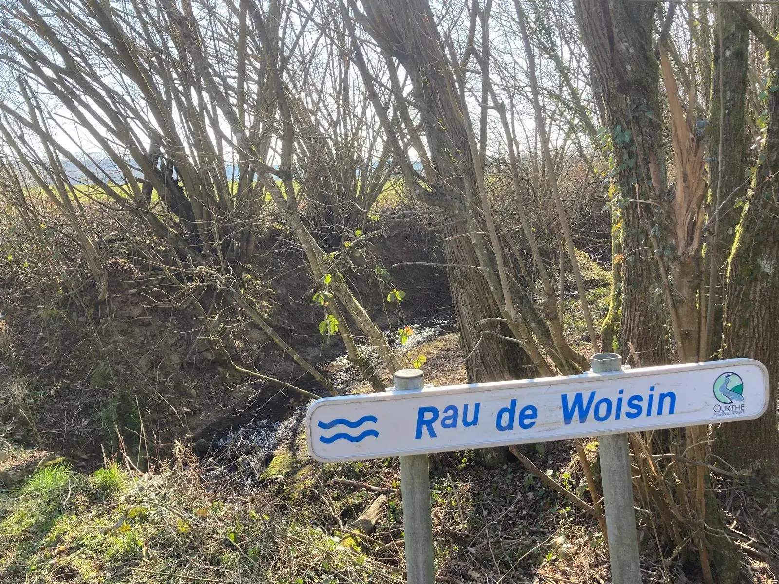 Foto 4 van de wandeling te Hotton - Marenne W3