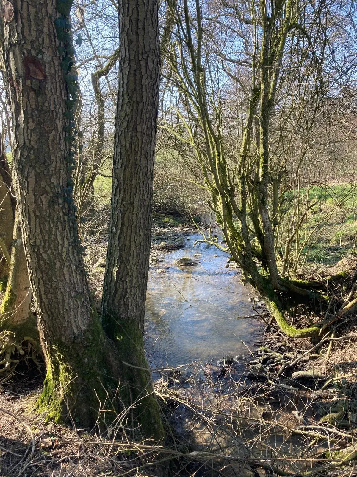 Foto 5 van de wandeling te Hotton - Marenne W3