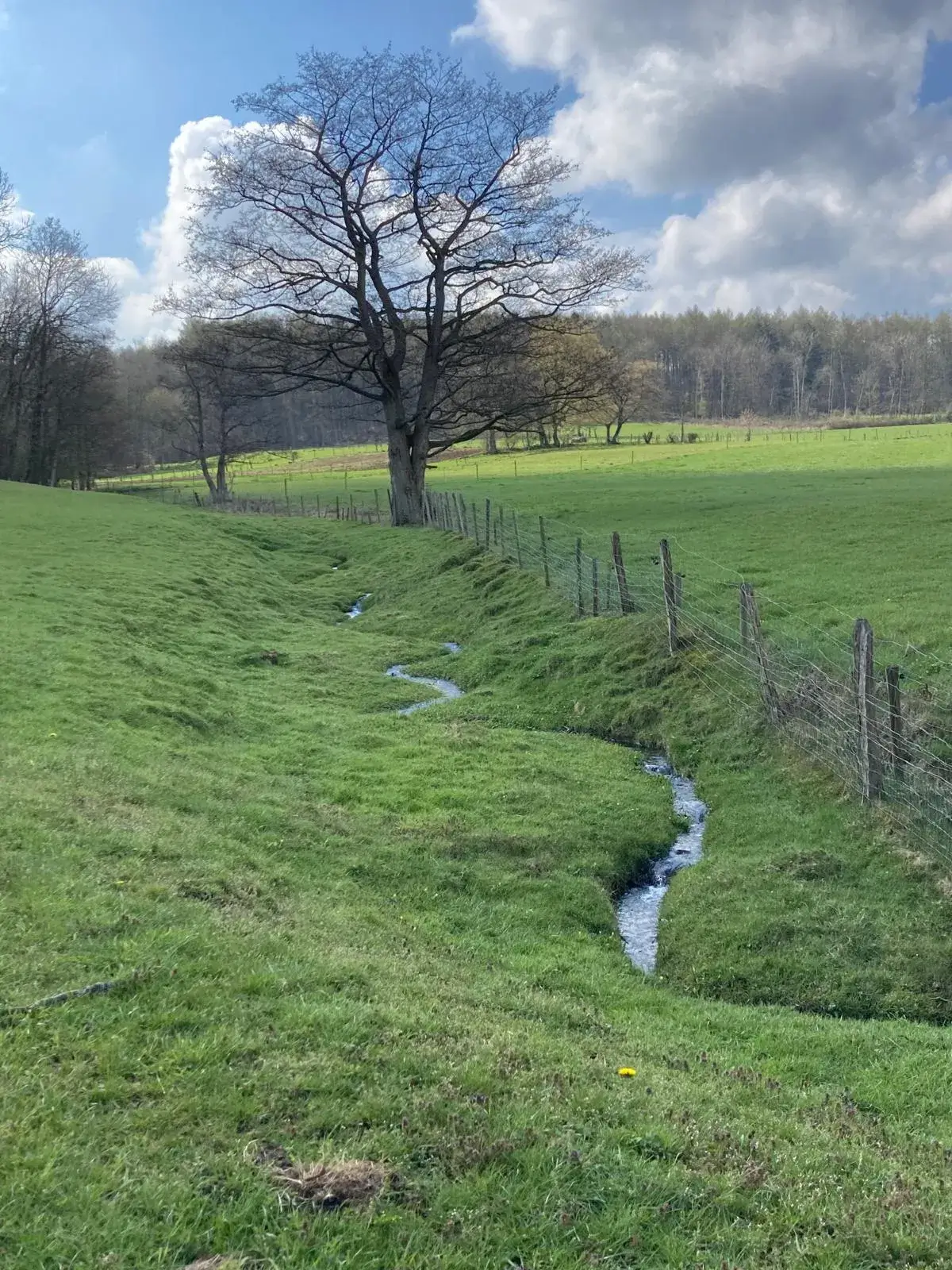 Wandeling afbeelding