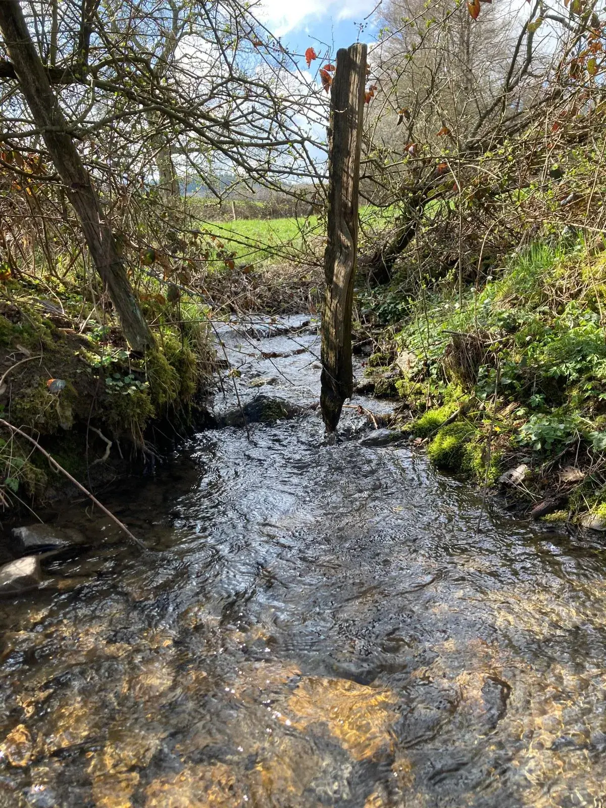 Wandeling afbeelding