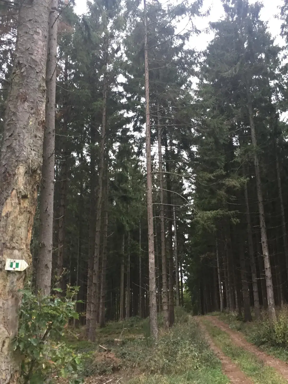Wandeling afbeelding