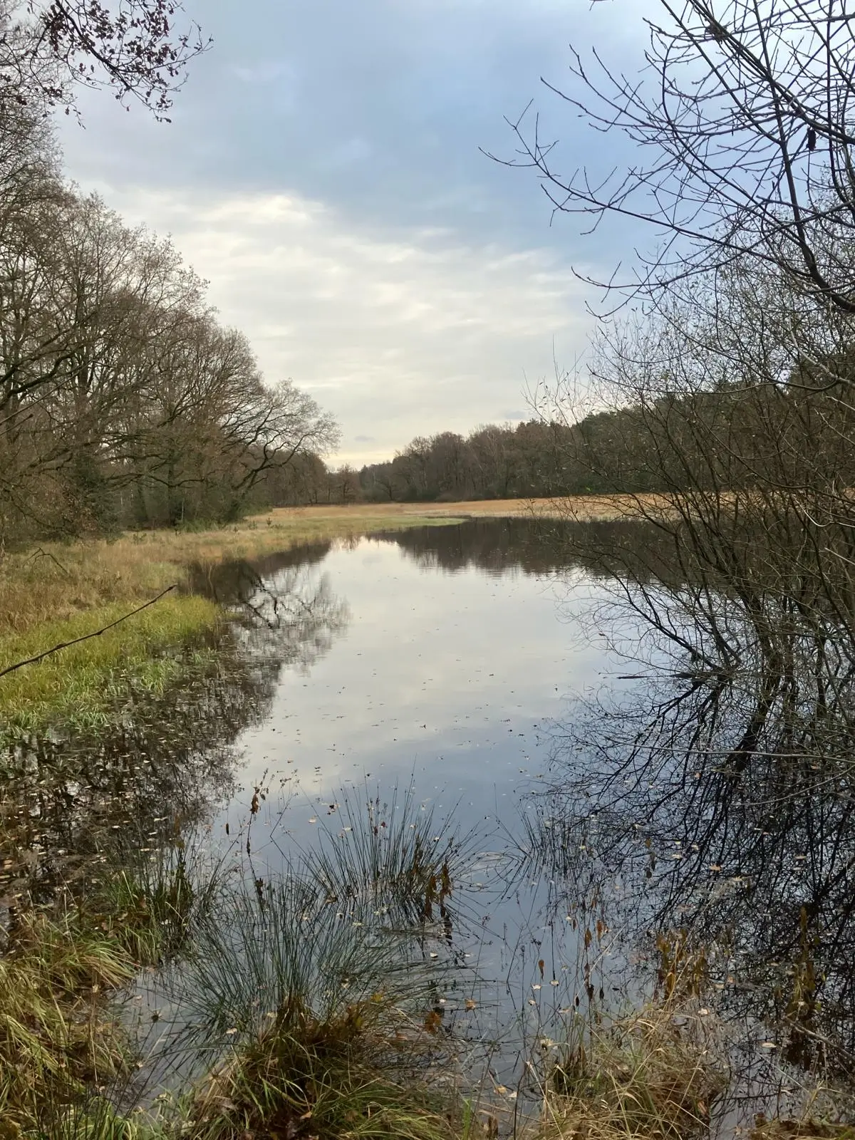 Wandeling afbeelding