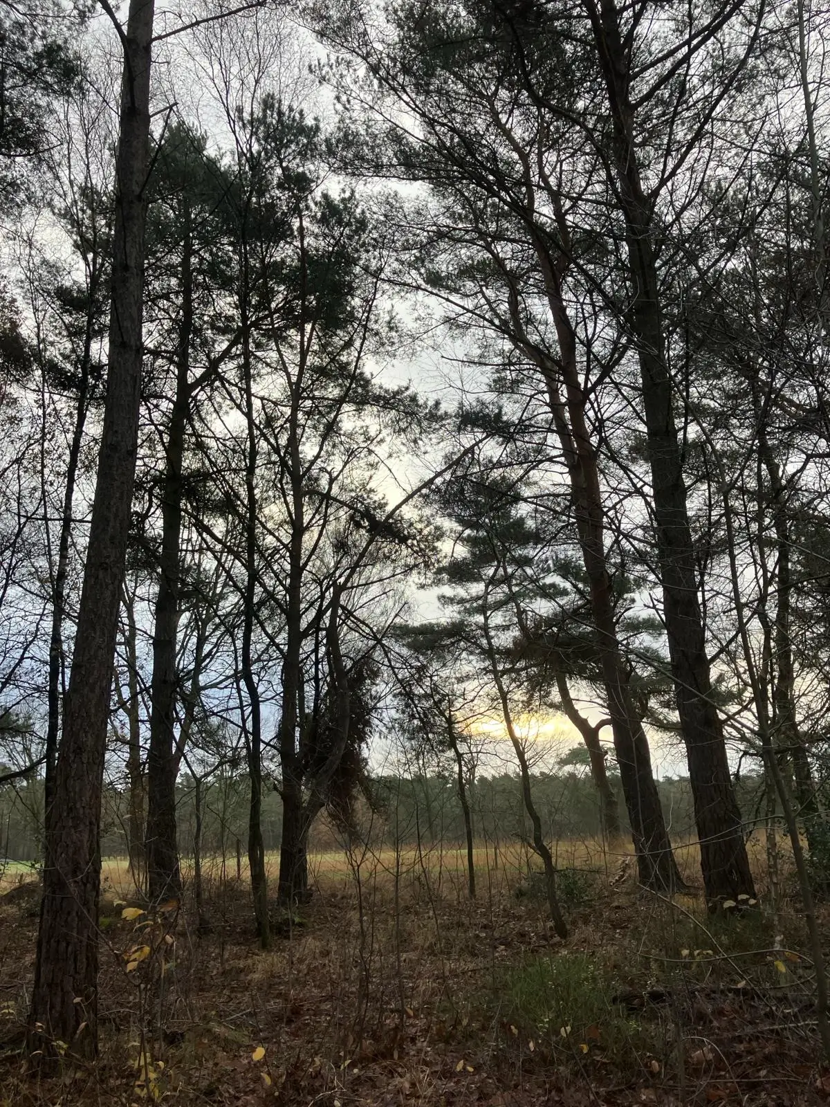 Wandeling afbeelding