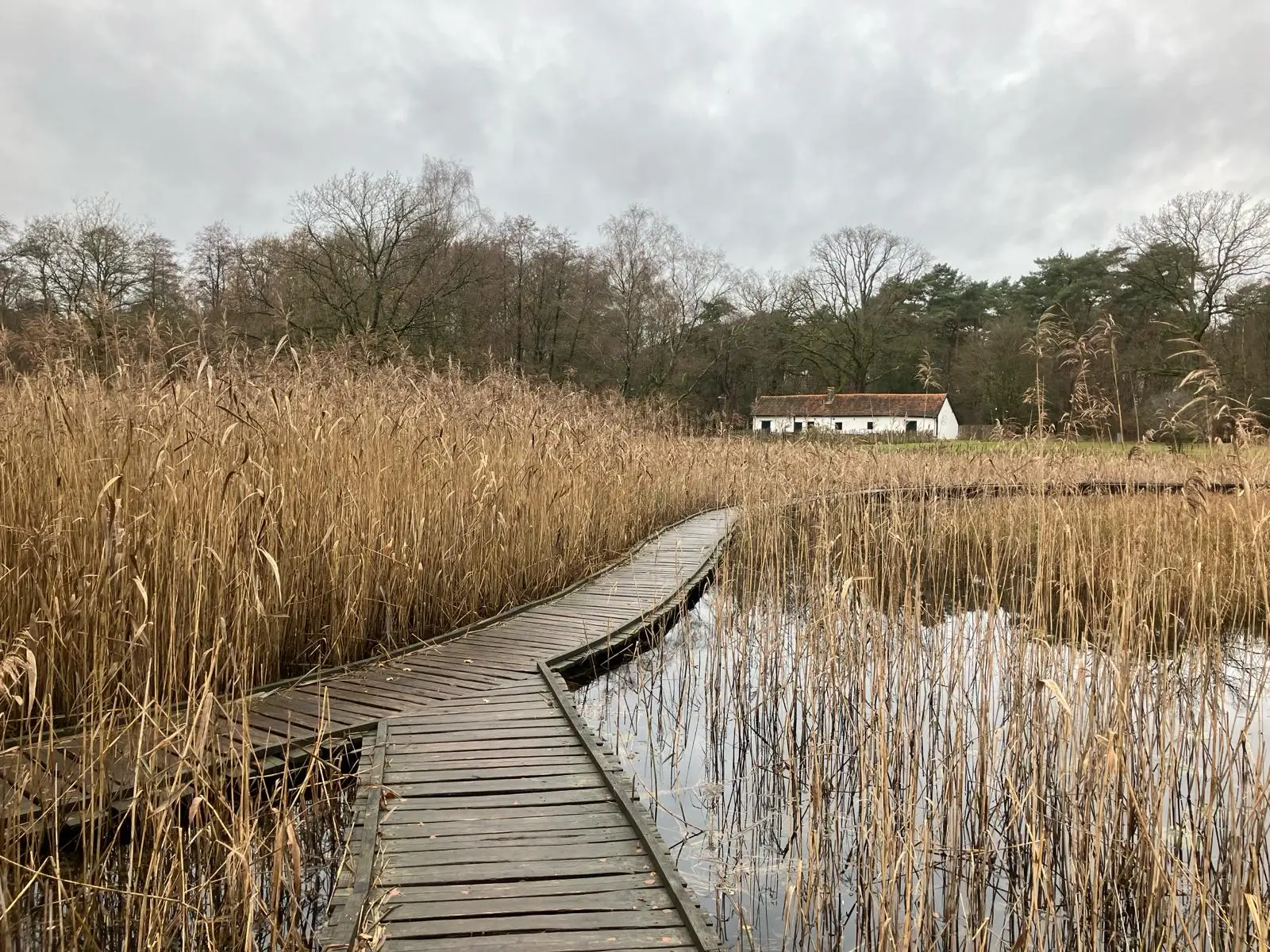 Wandeling afbeelding