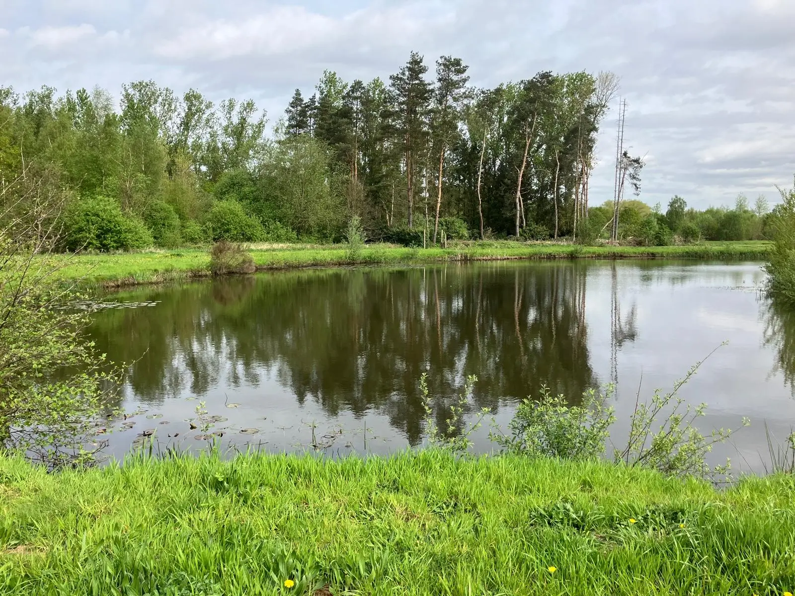 Wandeling afbeelding