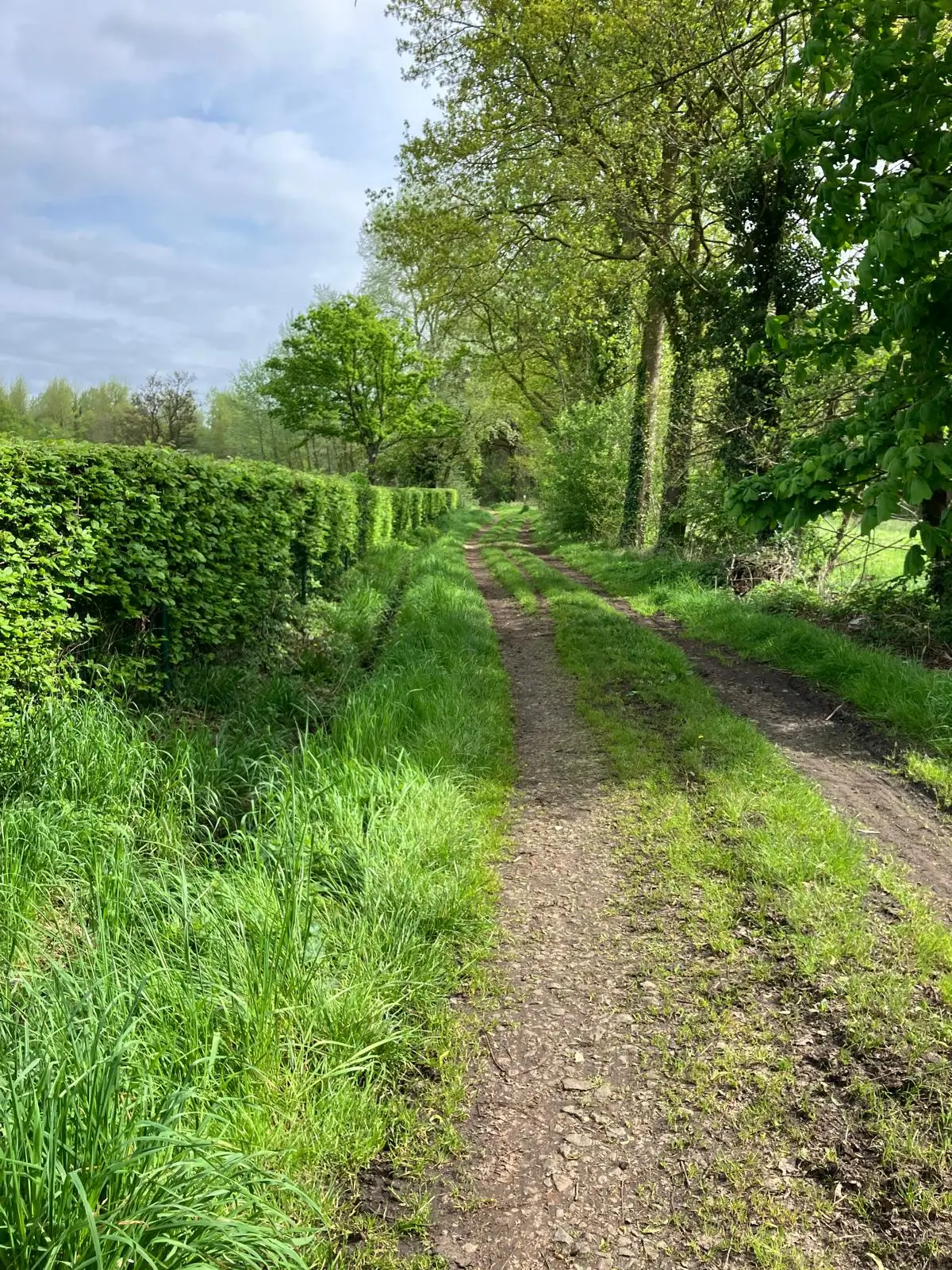 Wandeling afbeelding