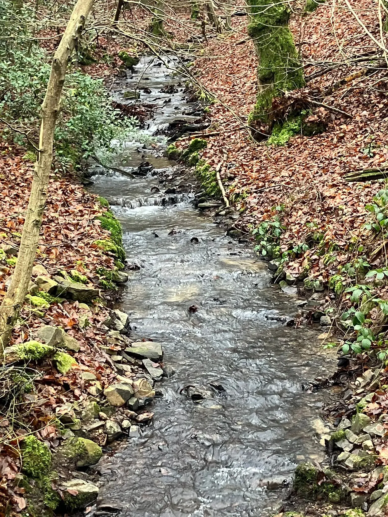 Wandeling afbeelding
