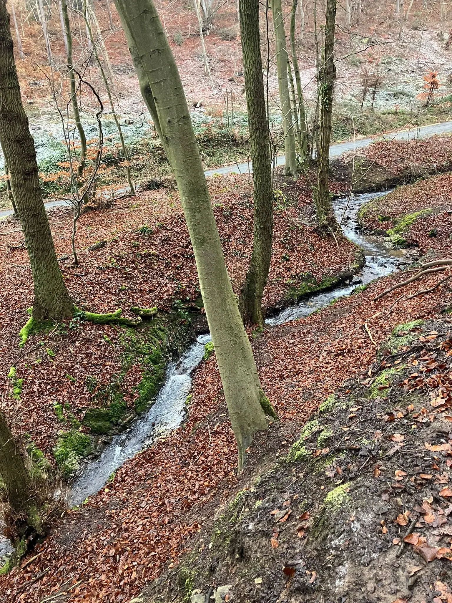 Wandeling afbeelding