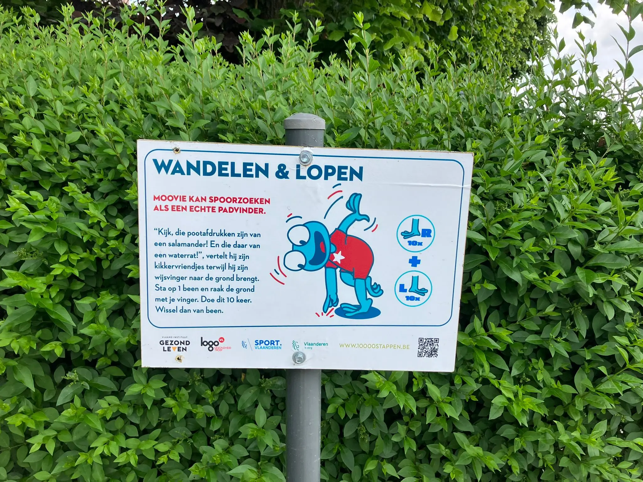 Wandeling afbeelding