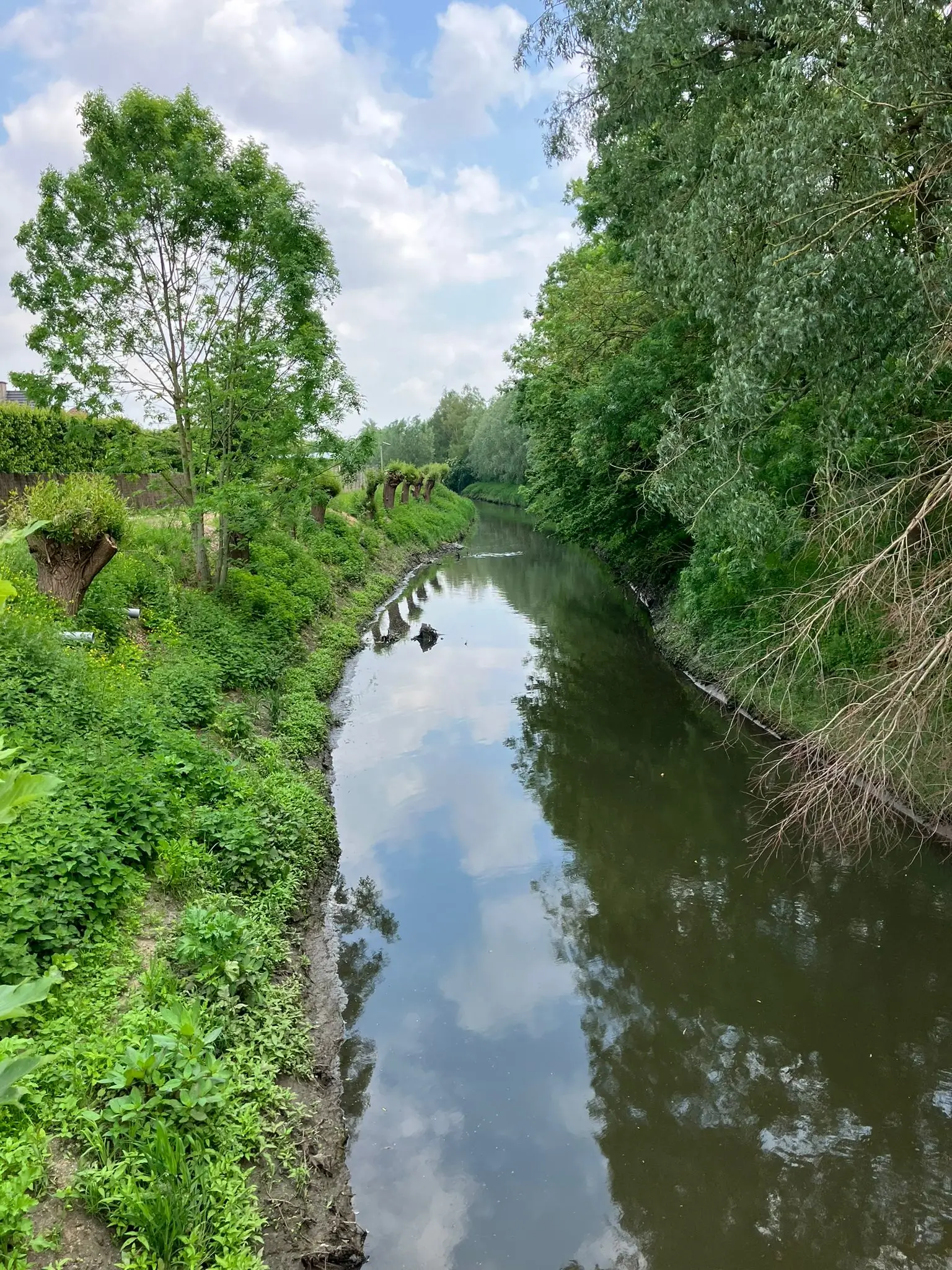 Wandeling afbeelding