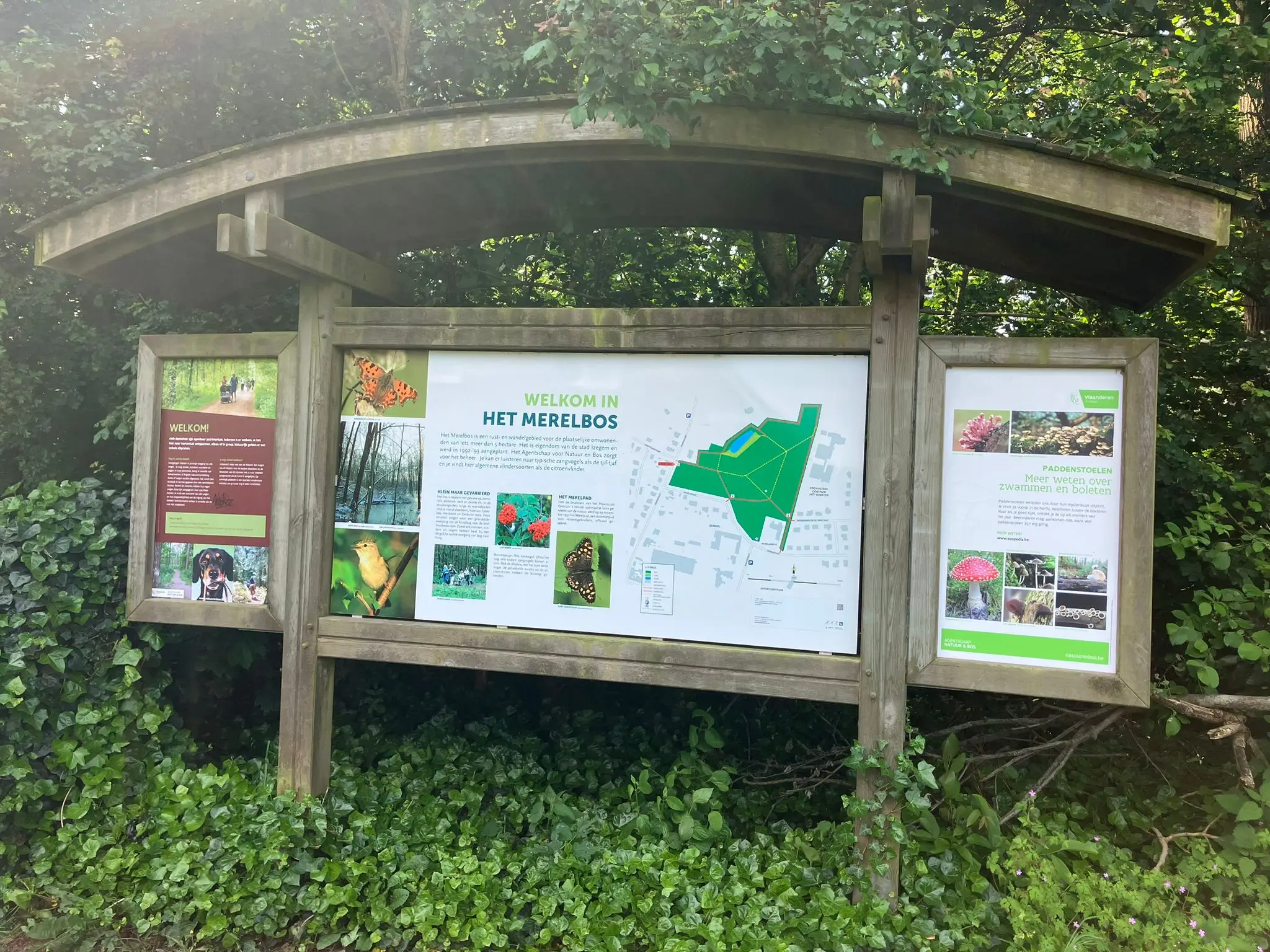 Wandeling afbeelding