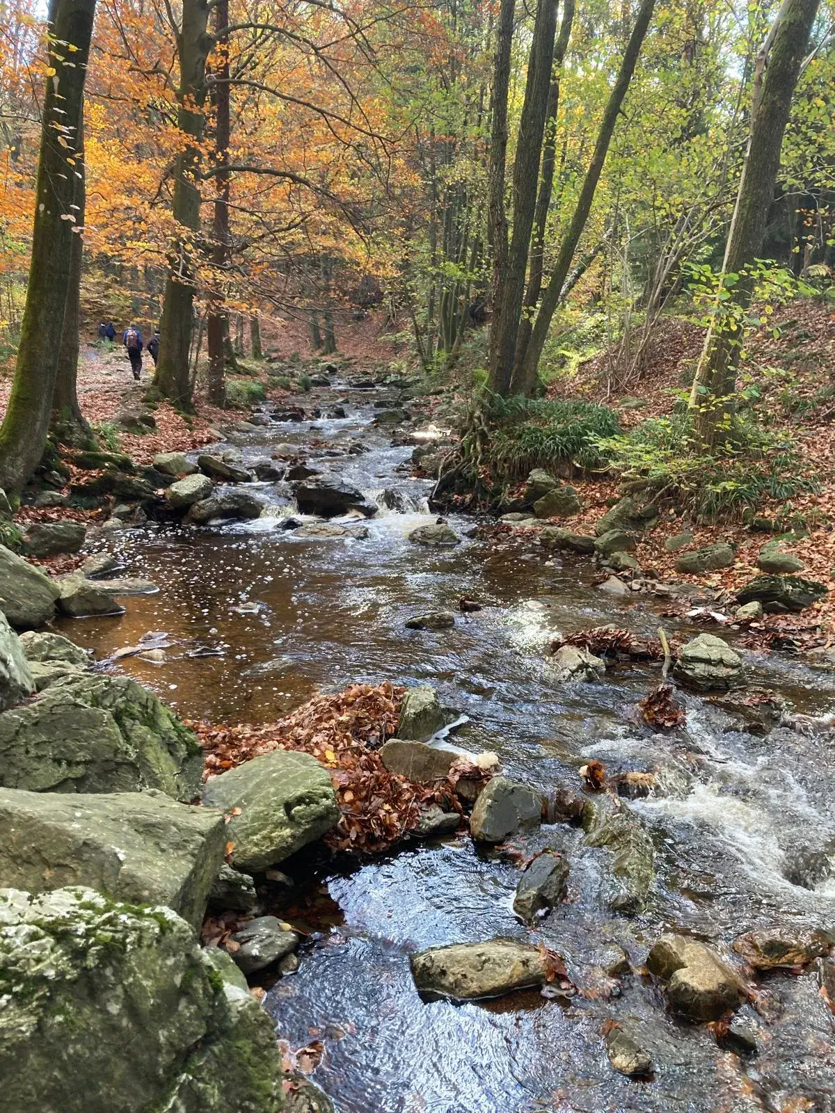 Wandeling afbeelding